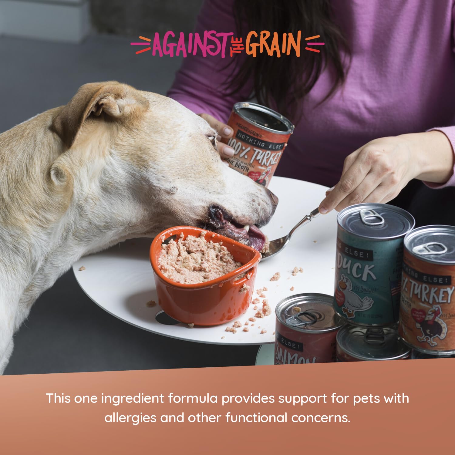 Evangers Against The Grain Pet Food Nothing Else! Dog Food - 11 oz Cans (Pack of 12)