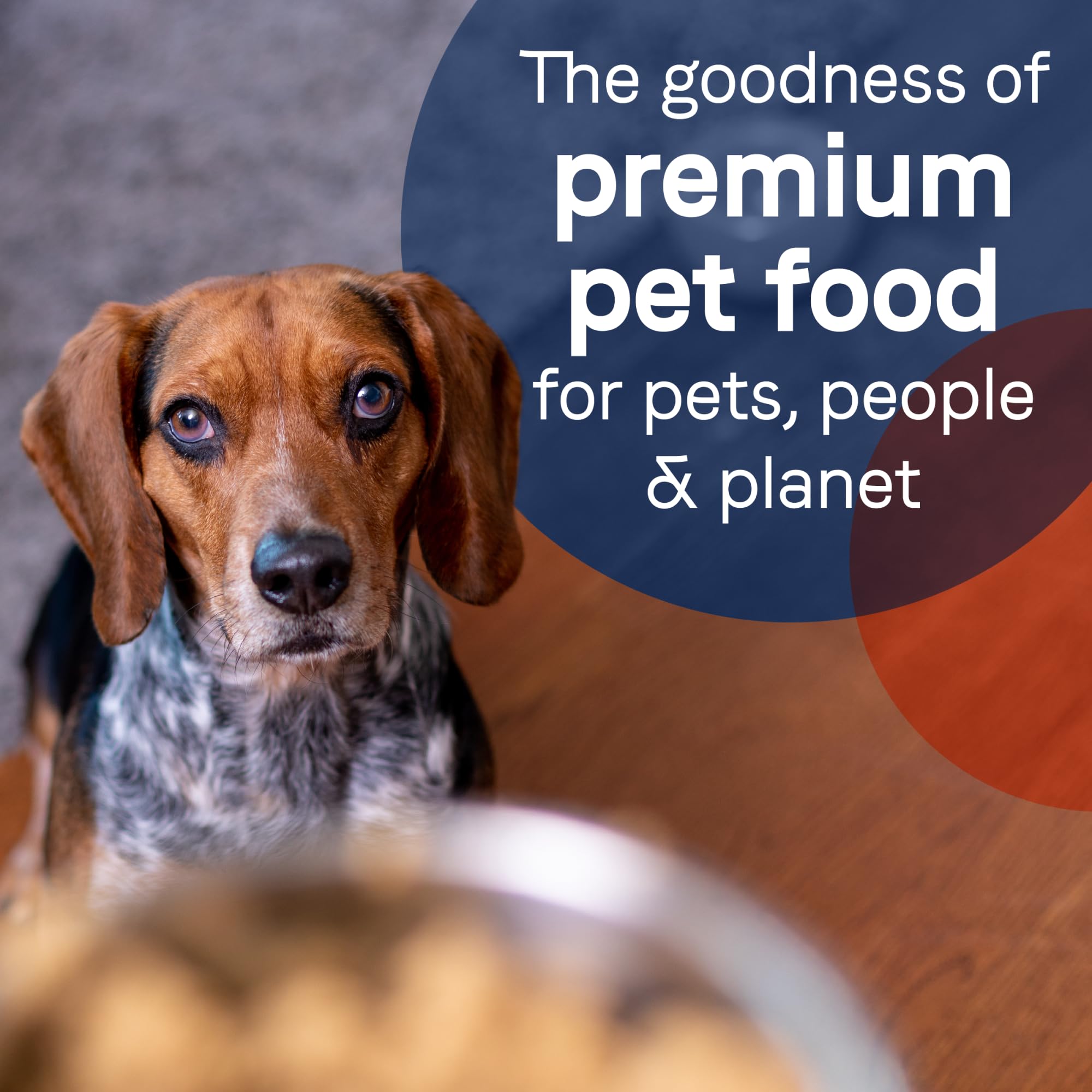 Canidae Pure Limited Ingredient Premium Wet Dog Food, Lamb, Turkey & Chicken Recipe, 13 oz. (Case of 12), Grain Free