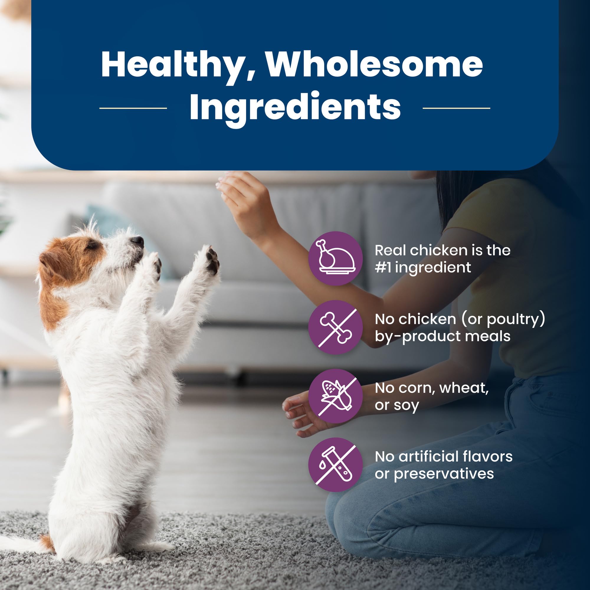 Blue Buffalo Life Protection Formula Small Breed Senior Dry Dog Food, Supports Joint Health and Immunity, Made with Natural Ingr