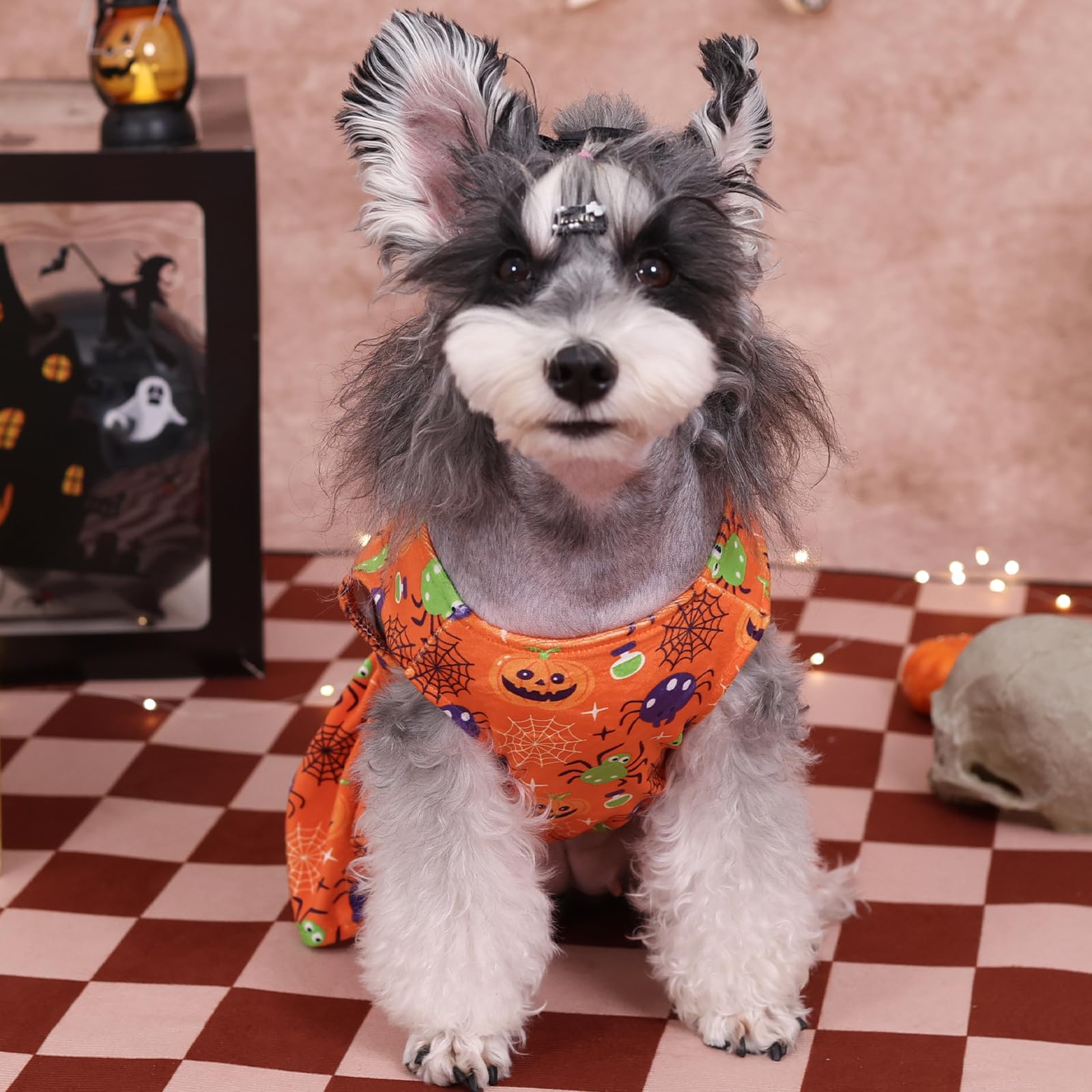 Cutebone Halloween Dog Dresses Velvet Holiday Small Dogs Clothes Onesie Pet Apparel Girl Puppy Skirt With Bow Hair Rope Cva47Xs