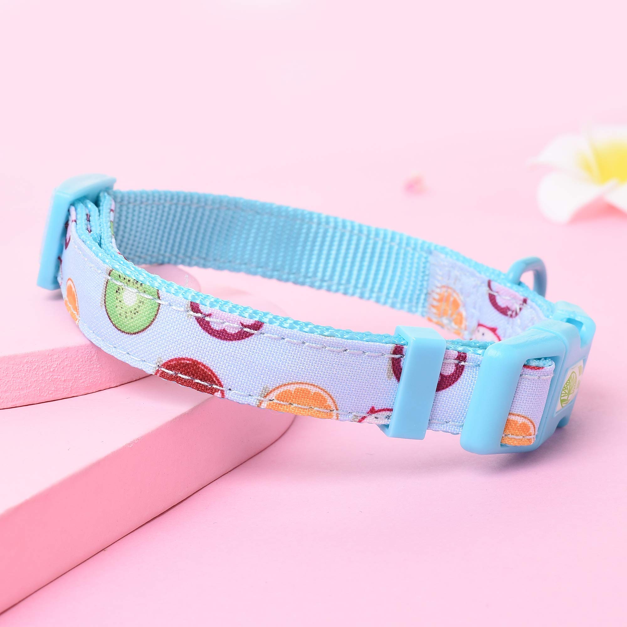 Mile High Life | Cute Dog Collar | Lightweight | Soft Poly Cotton Fabric | Citrus, Flower & Fruit Pattern (Xs)