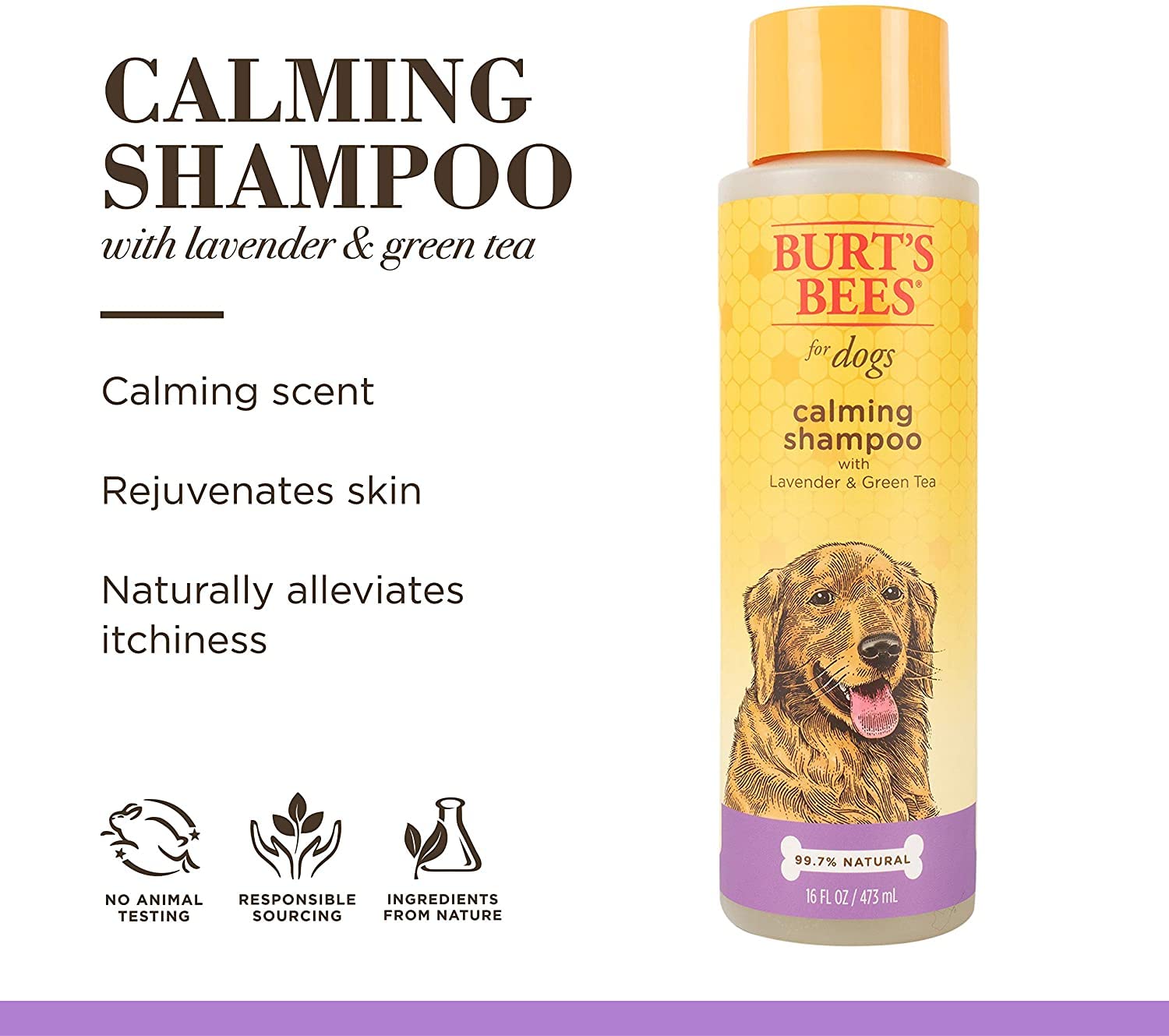 Burt'S Bees For Pets Calming Dog Shampoo With Lavender And Green Tea, 6Pk, 95% Natural Origin Formulas, Calming Lavender Dog Sha