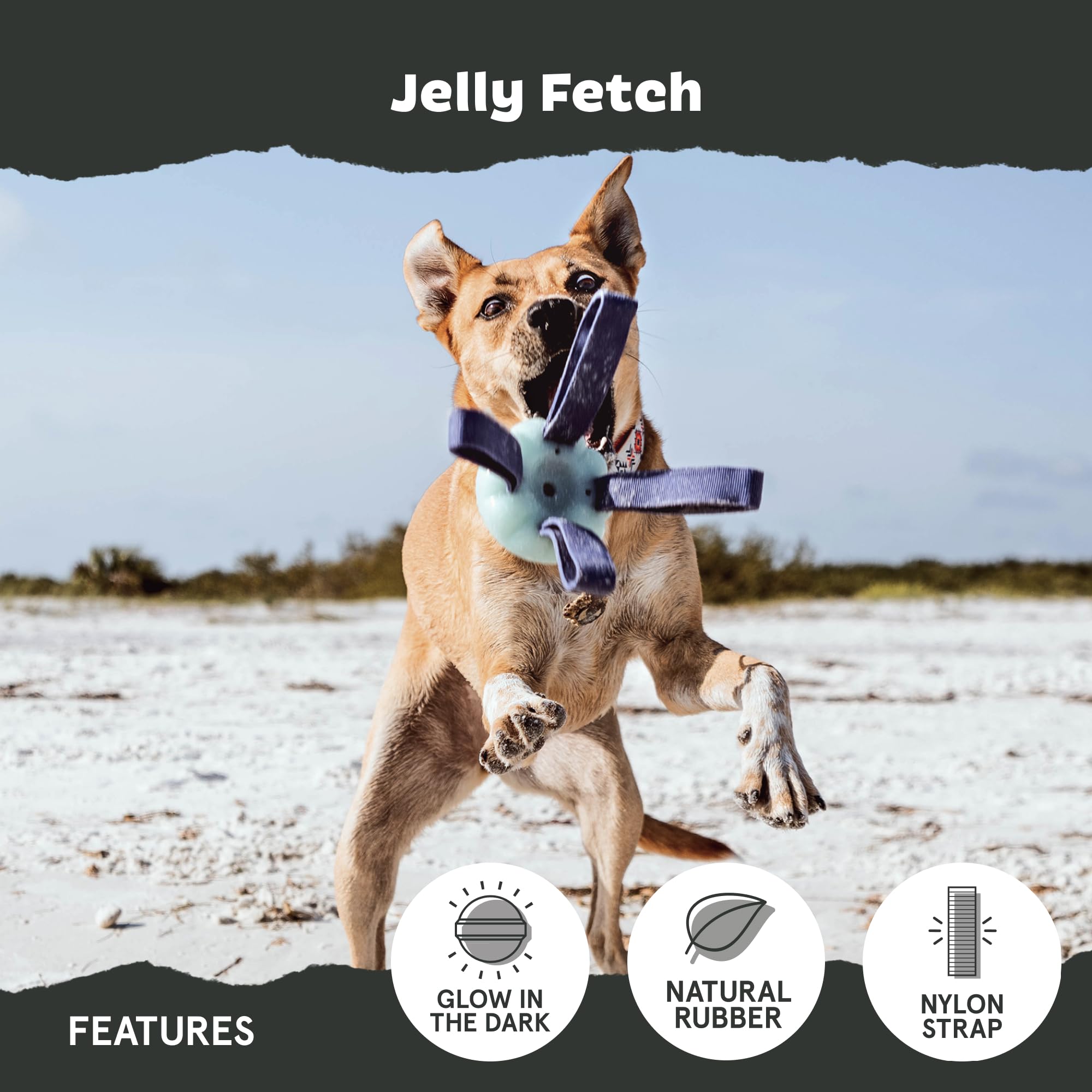 Barkbox Jelly Fetch Dog Toy For Medium Dogs - Perfect For Tug And Fetch Play, Durable Design With Strong Nylon Straps For Long-L