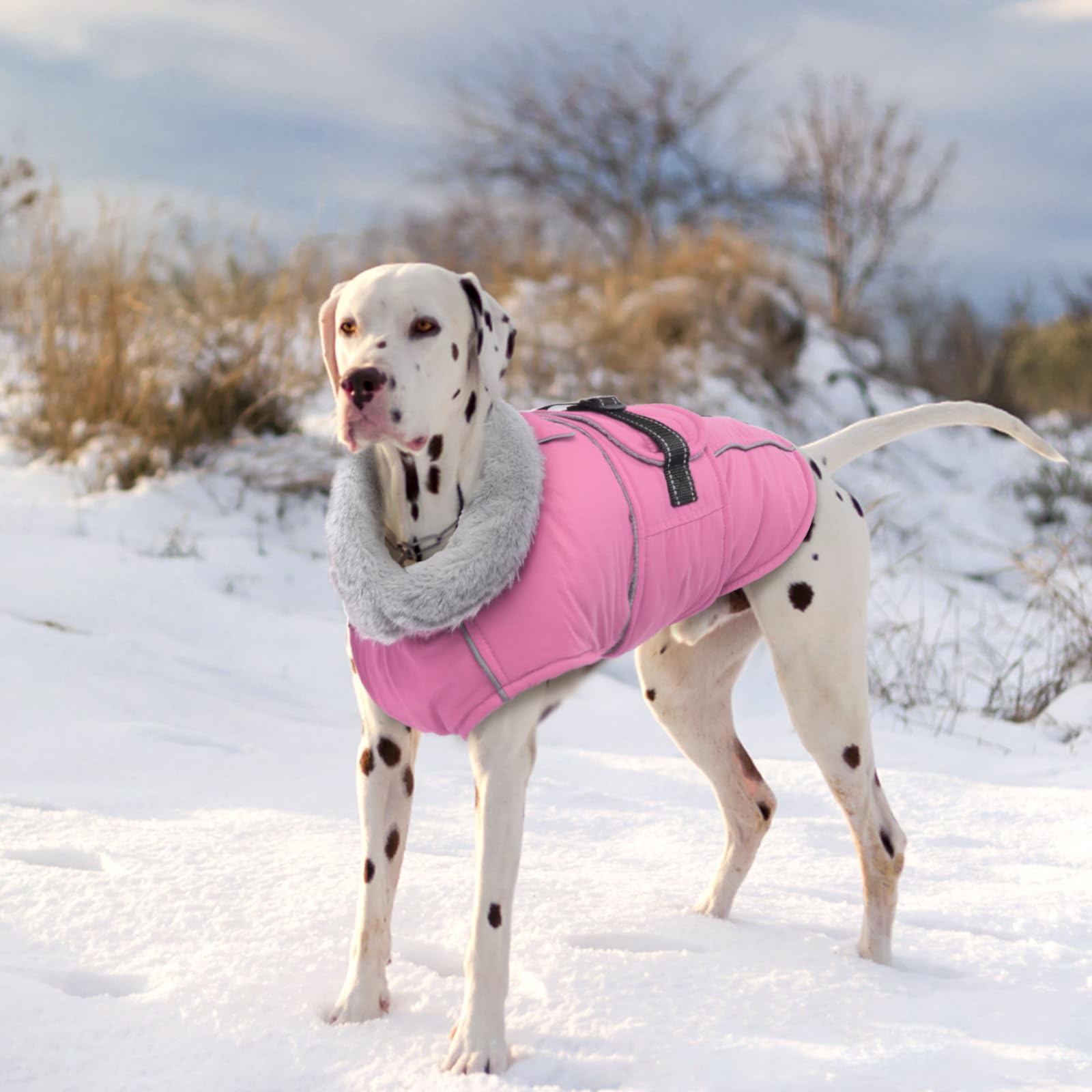 Lelepet Warm Dog Coat Reflective Dog Fleece Vest Waterproof Dog Jacket Windproof Dog Winter Coat Dog Cold Weather Coats With Adjustable Buckle Fleece Lining Dog Snowsuit Dog Coat For Medium Dogs, M