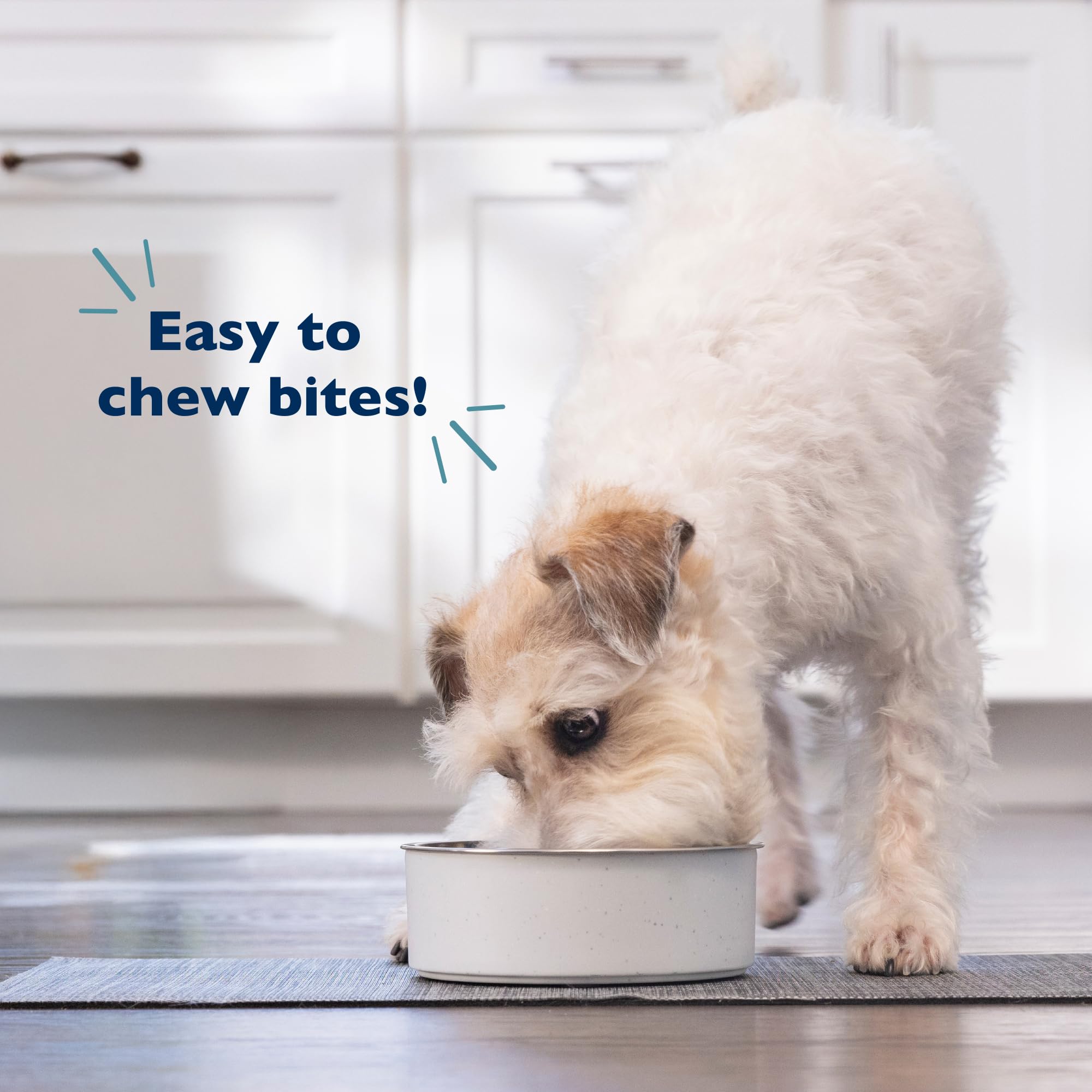 Bil-Jac Puppy Food Small Breed Formula Dry Dog Food 6 lb Bag - Chicken, Oatmeal & Yams - Super Premium Since 1947 (2-Pack)