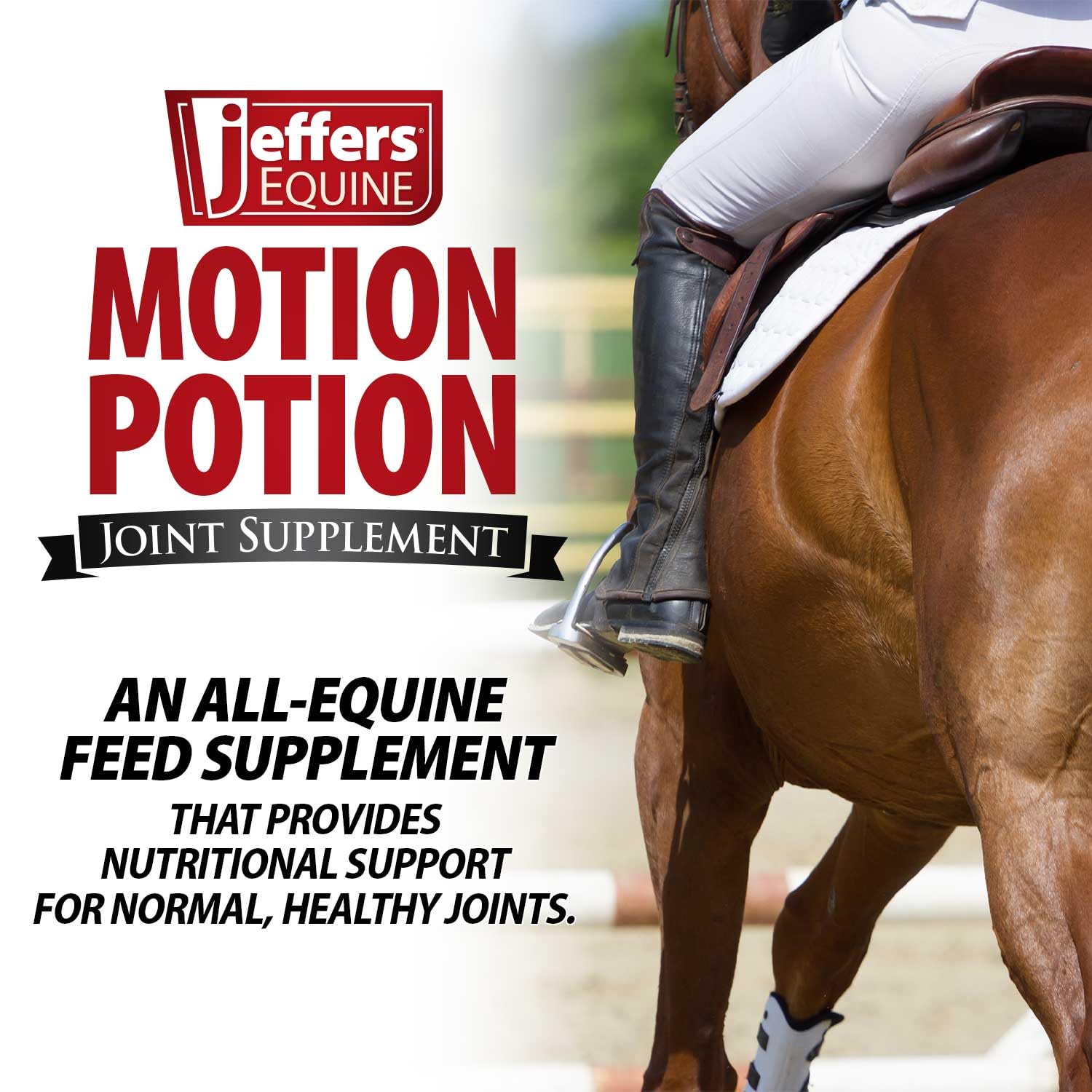 Jeffers Motion Potion Pellets Joint Supplement for Horses, 10 lb- Glucosamine, MSM, Chondroitin, Hyaluronic Acid, & Vitamins. Da