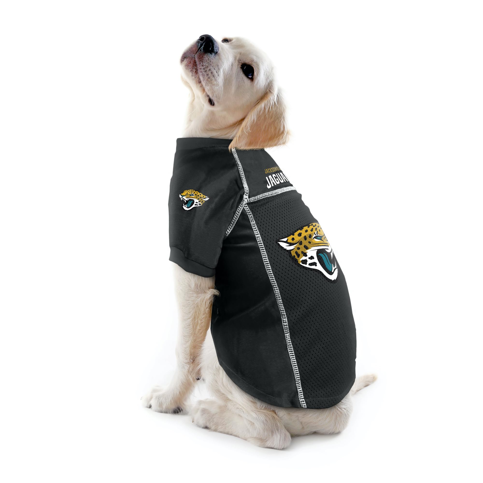 Littlearth Unisex-Adult Nfl Jacksonville Jaguars Basic Pet Jersey, Team Color, X-Large, (320134-Jagr-Xl)