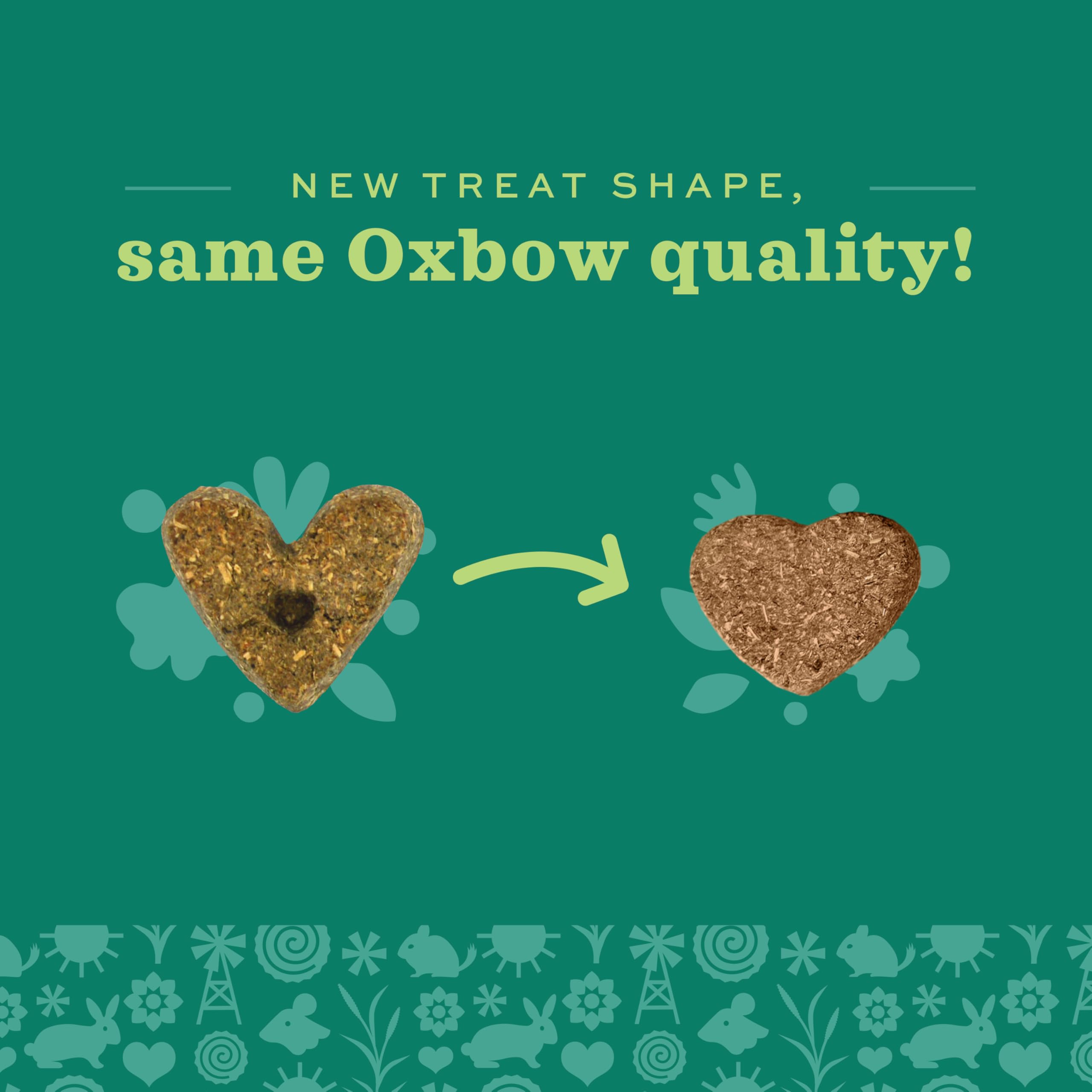 Oxbow Organic Barley Biscuits, Rabbit & Guinea Pig Treats, Organic Hamster & Bunny Treats with Barley, Apple & Carrot, Made in U