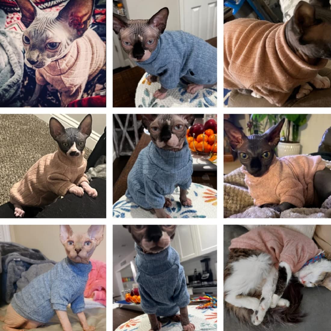Idepet Sphynx Hairless Cats Sweater Shirt Kitten Soft Puppy Clothes Pullover Cute Cat Pajamas Jumpsuit Skin-Friendly Cotton Apparel Pet Winter Turtleneck For Cats And Small Dogs(X-Small, Blue)