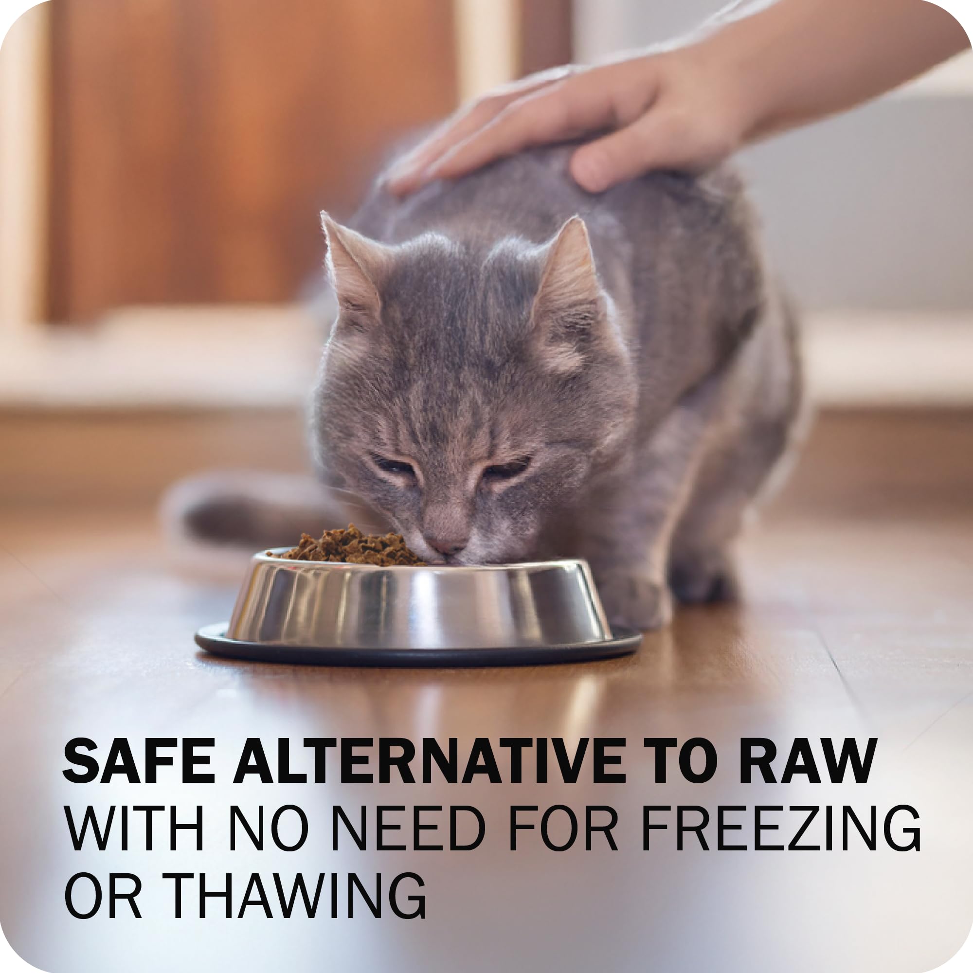 Redbarn Air Dried Powerfood for Cats with Real Chicken - Made in USA High Protein, Grain-Free Dry Cat Kitten Food Full Meal or T