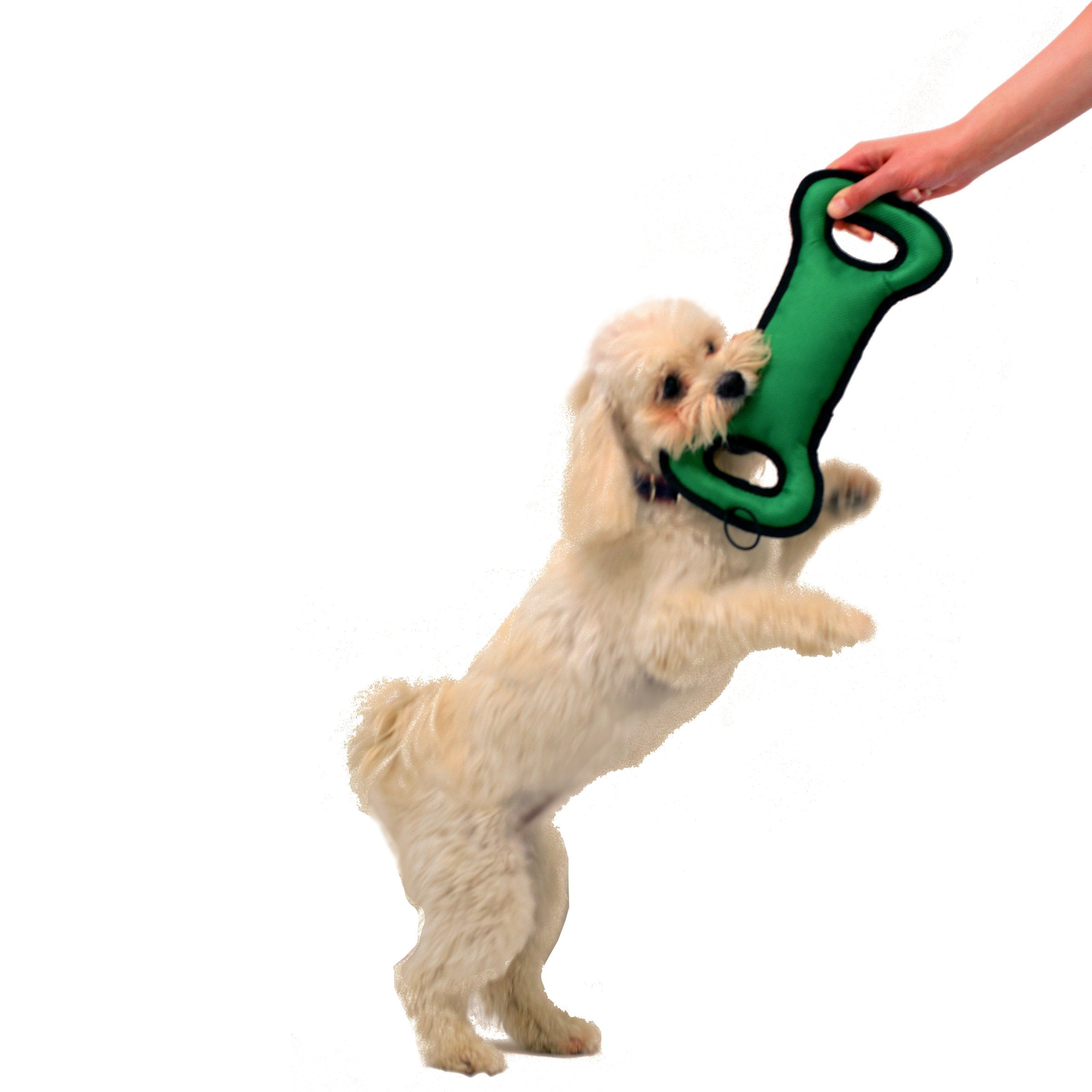 Pets First Nfl Washington Commanders Football Field Dog Toy With Double Rim Stitching & Inner Squeaker, Team Color (Wac-3030)