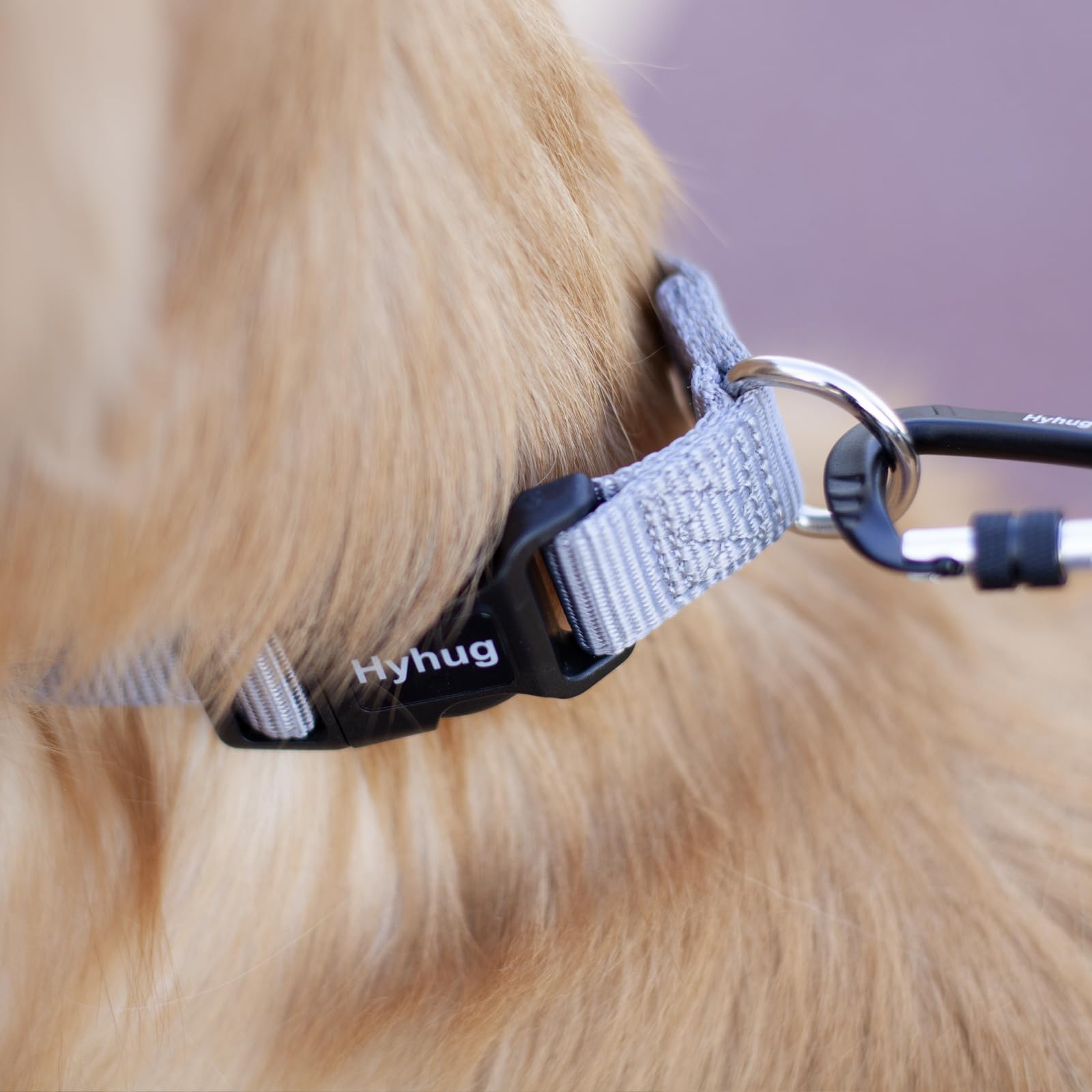 Hyhug Pets Solid Color Classic Regular Heavy Duty Basic Collar For Large Breeds Dogs, Unique Design Adjustment Triglide Slide (B