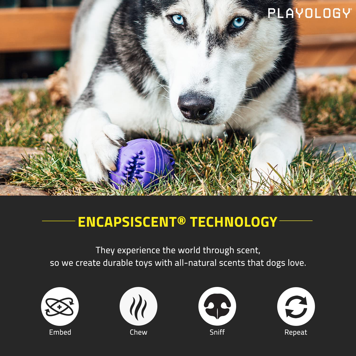 Playology Silver - Dental Chew Ball Dog Toy, Large - Designed for Senior Dogs (35lbs and Up) - Engaging All-Natural Pork Sausage