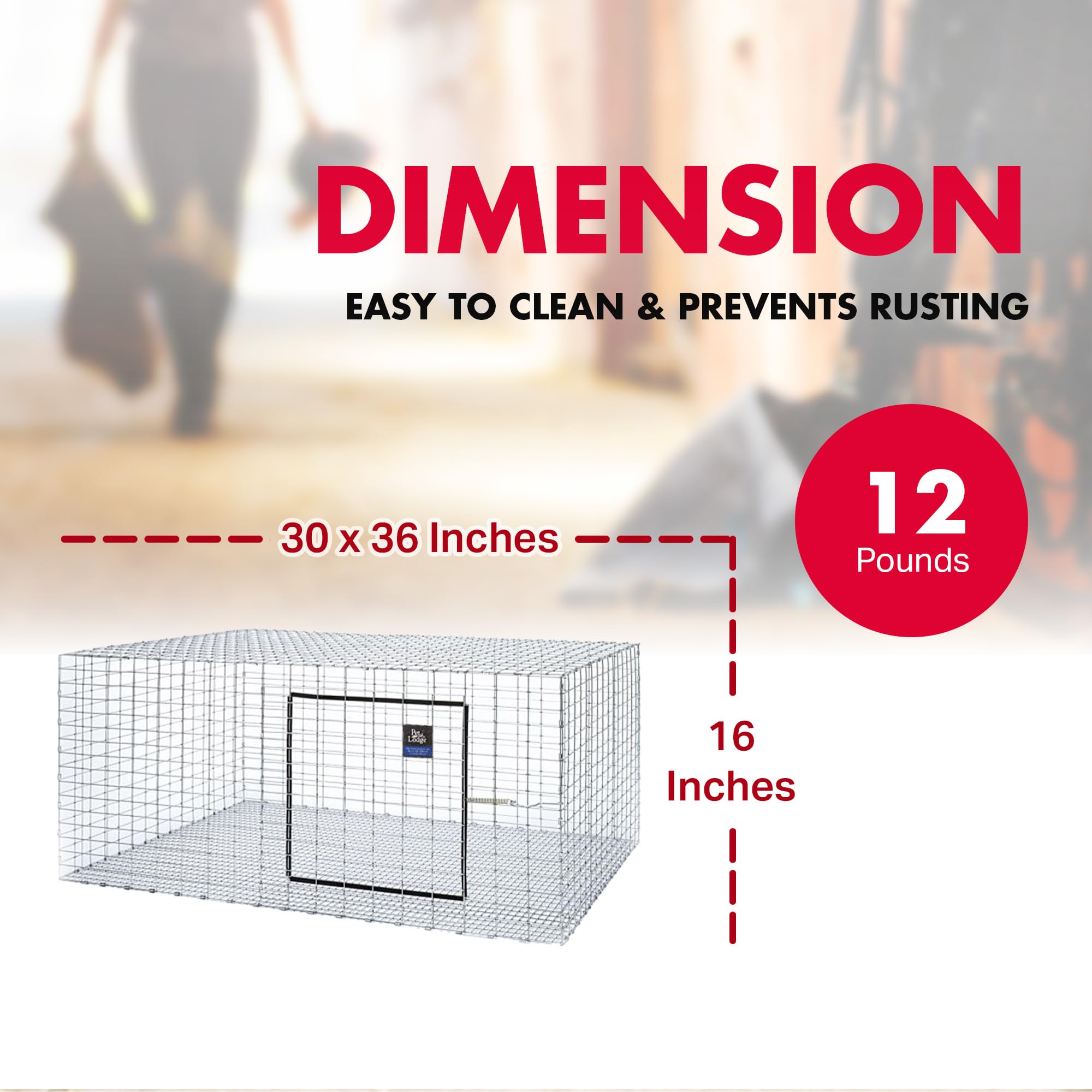 Little Giant Wire Rabbit Hutch - Pet Lodge - Heavy Duty Galvanized Rabbit Home, Easy To Assemble (30'' X 36'') (Item No. Ah3036)