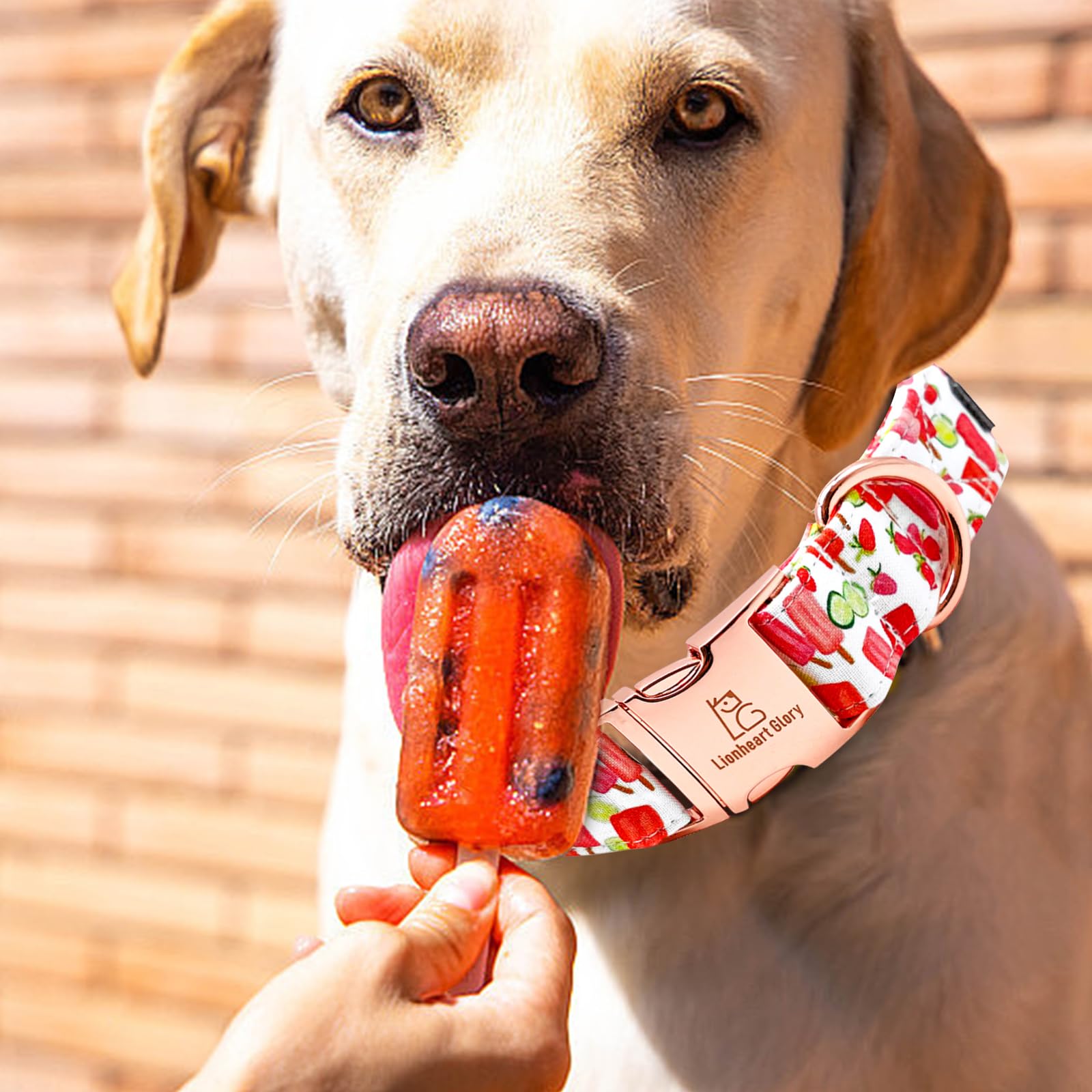 Lionheart Glory Popsicle Print Dog Collar - Soft, Durable, Adjustable For Small Dogs - Spring/Summer Cute Collar Gift
