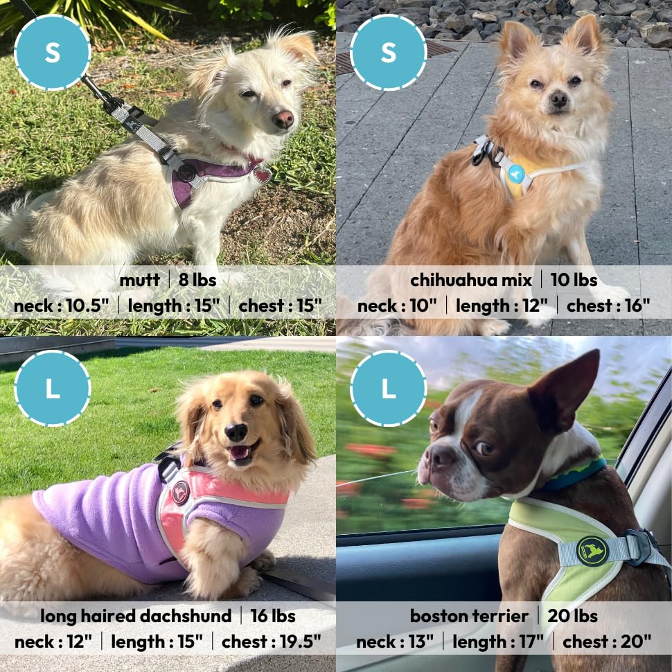 Gooby Simple Step in III Harness - Green, Small - Small Dog Harness with Scratch Resistant Outer Vest - Soft Inner Mesh Harness