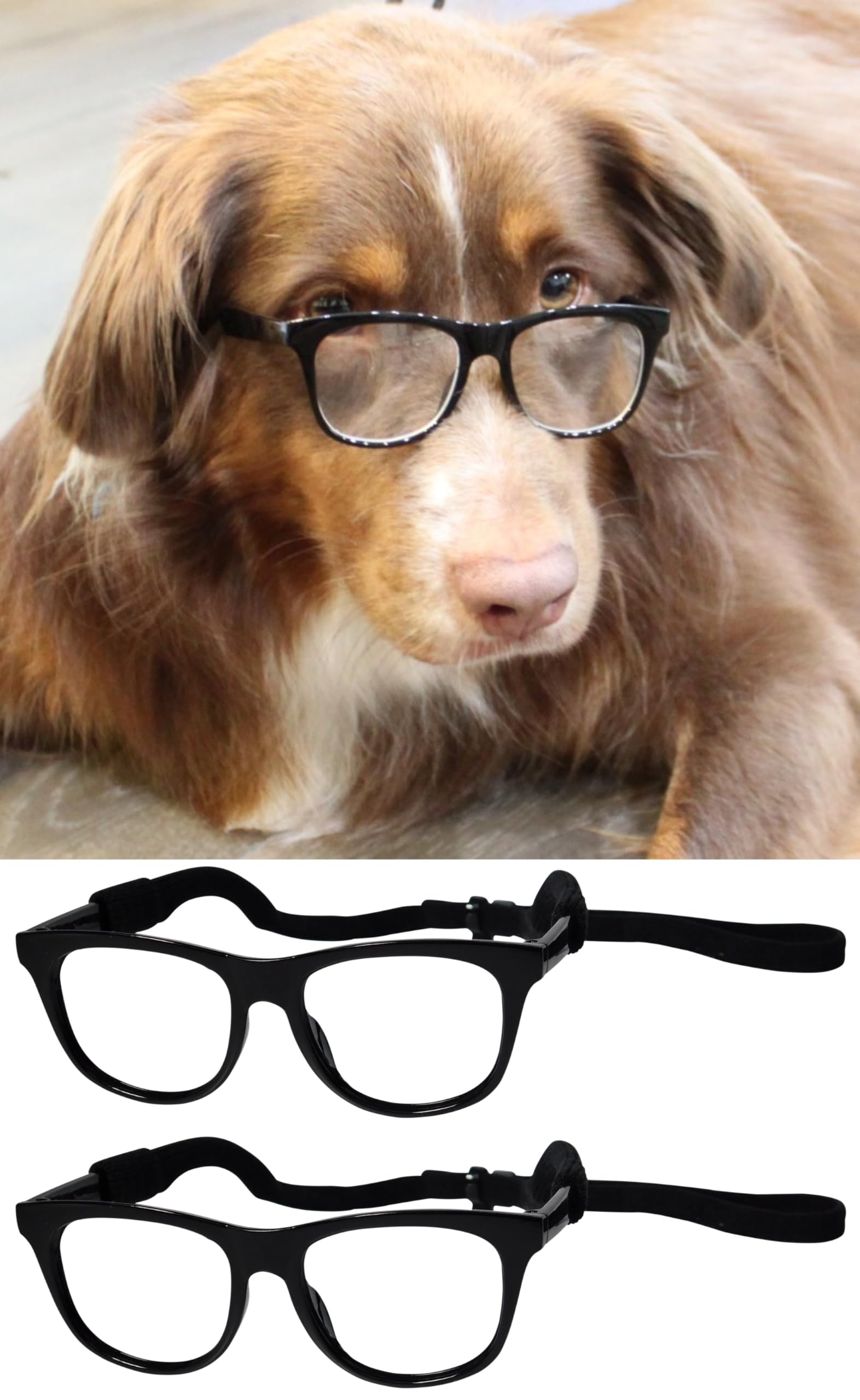 G003 Dog Pet Clear Lens Glasses For Costume Prop M Breeds 18-40Lbs (2-Pk 80S Black-Clr+80S Black-Cl)