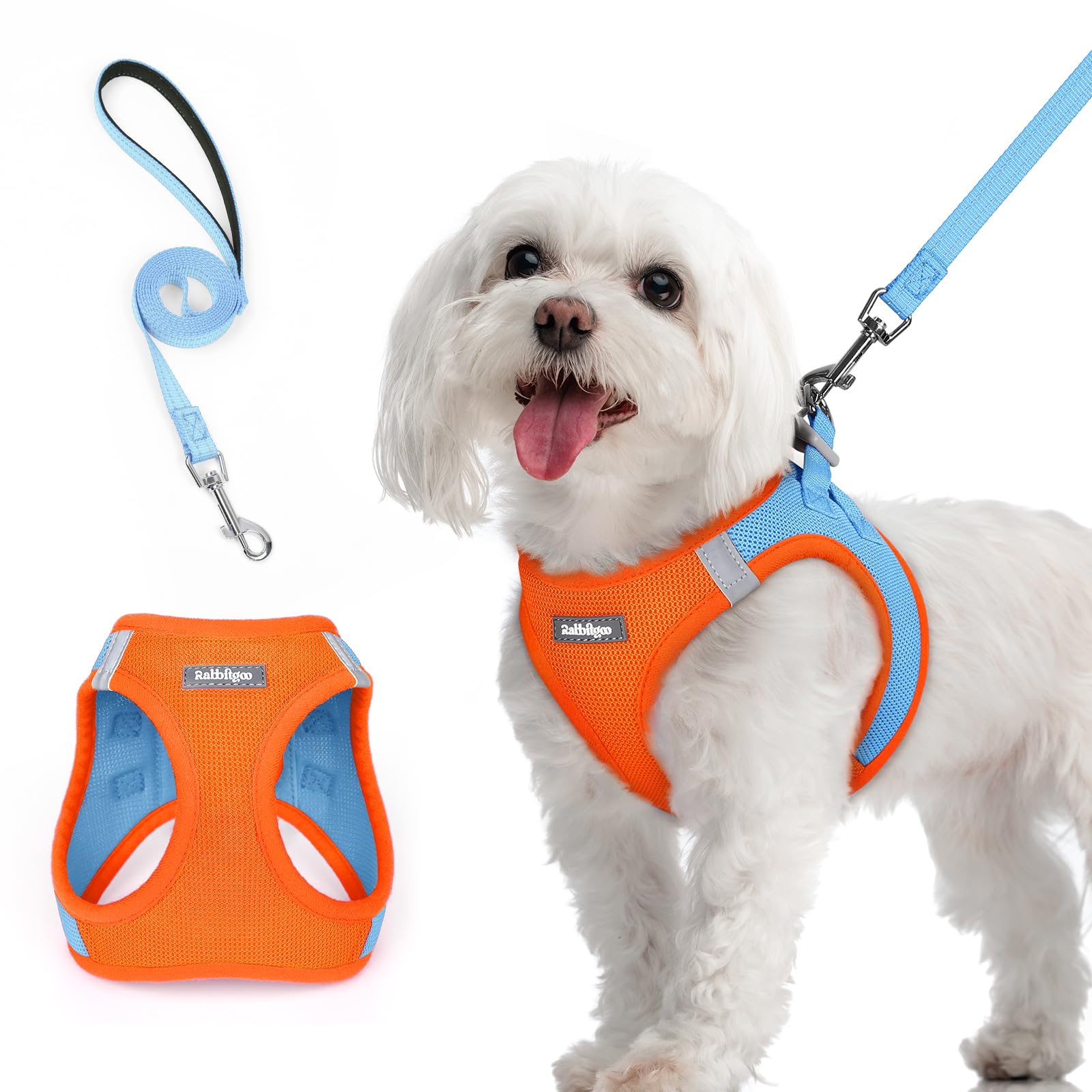 rabbitgoo Dog Harness Small Sized and Leash Set, Step in Soft Light Puppy Vest, Breathable Mesh Pet Harness, Reflective for Safe