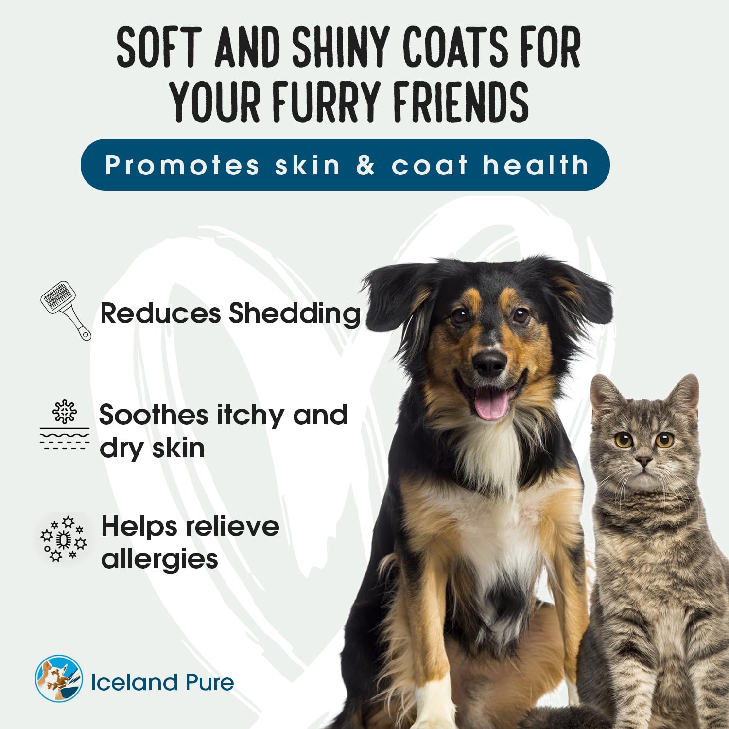 Sardine Anchovy Oil | 1296mg Omega | Unscented Pharmaceutical Grade | For Dogs & Cats | BPA-Free Brushed Aluminum Epoxy Coated B