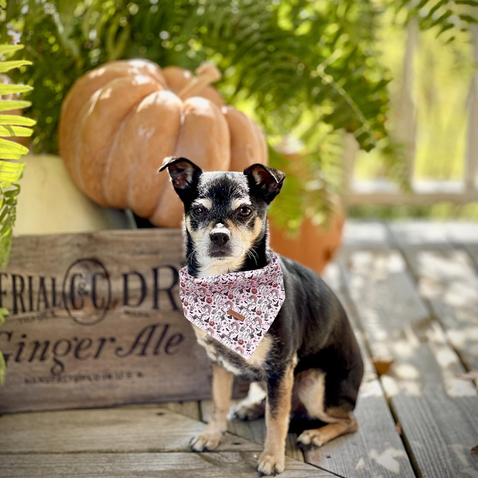 Lionheart Glory Dog Bandana Halloween 1 Pack Washable Soft Dog Scarf, Fall Bib Scarf Boy Girl Bandana Square Adjustable Dog Bandanas For Small To Large Dog Puppy