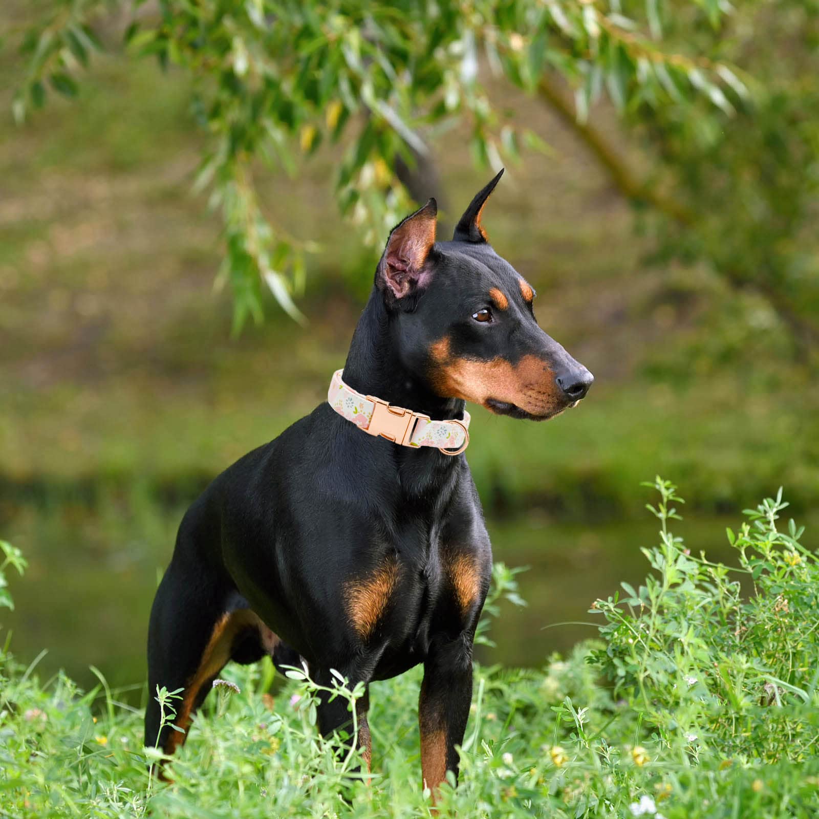 Metal Buckle Dog Collar, Durable Adjustable Dog Collar Soft For Small Medium Large Dogs(Pink Flowers, S(10-14In)