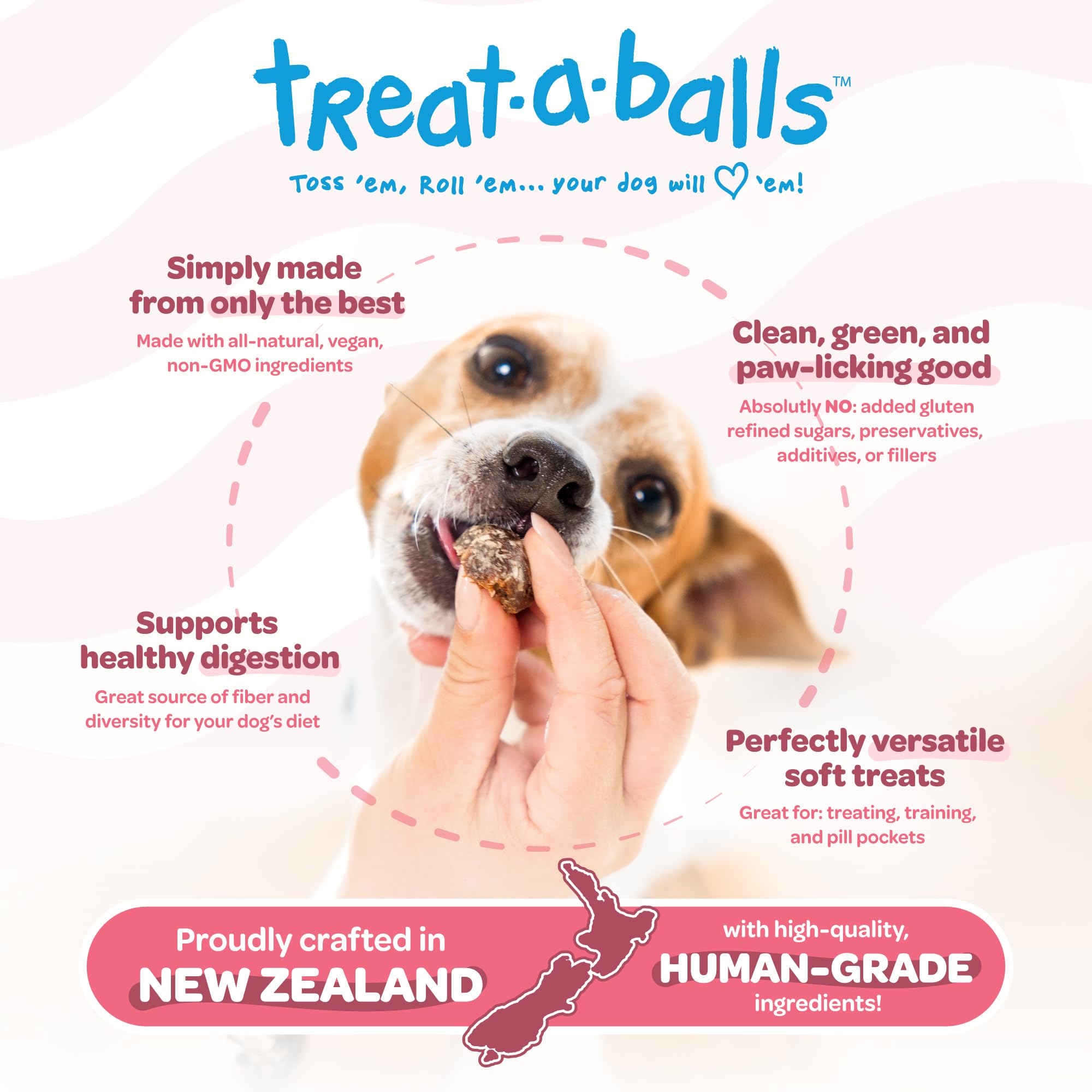 TREAT-A-BALLS Cranberry, Pumpkin & Apple Healthy Dog Treats - Vegan, Non-GMO, Gluten-Free, 7oz (Pack of 6) - All Natural, Soft &