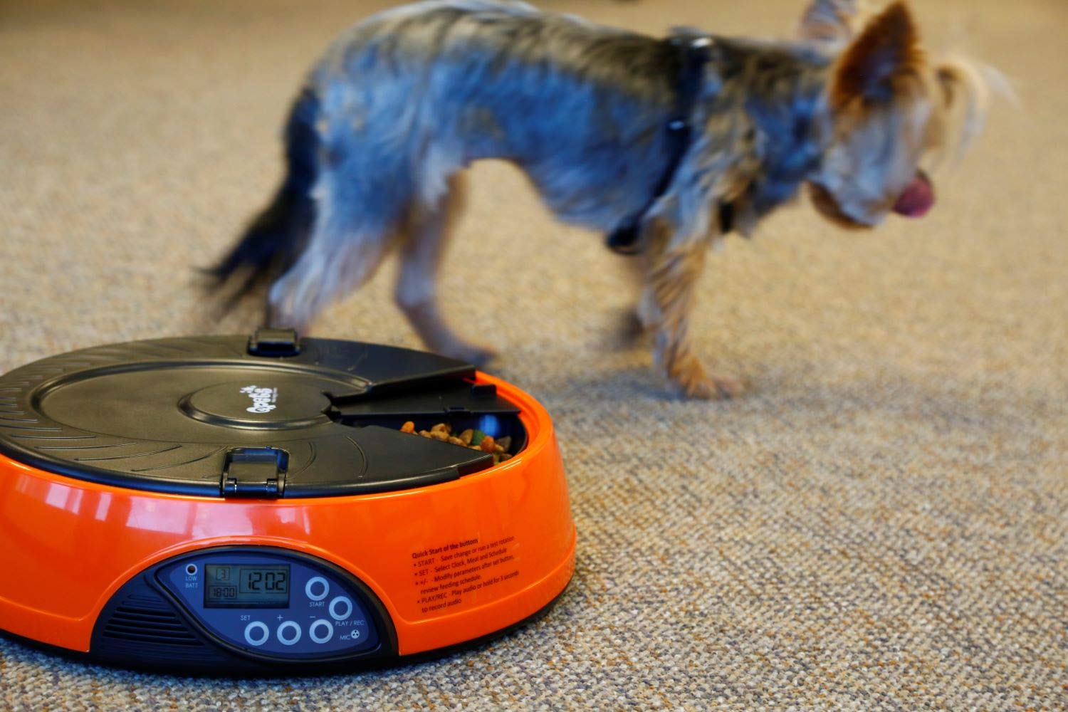 Qpets Af 108 Plus Programmable Automatic Pet Feeder For Dog, Cat & Other Small Pet