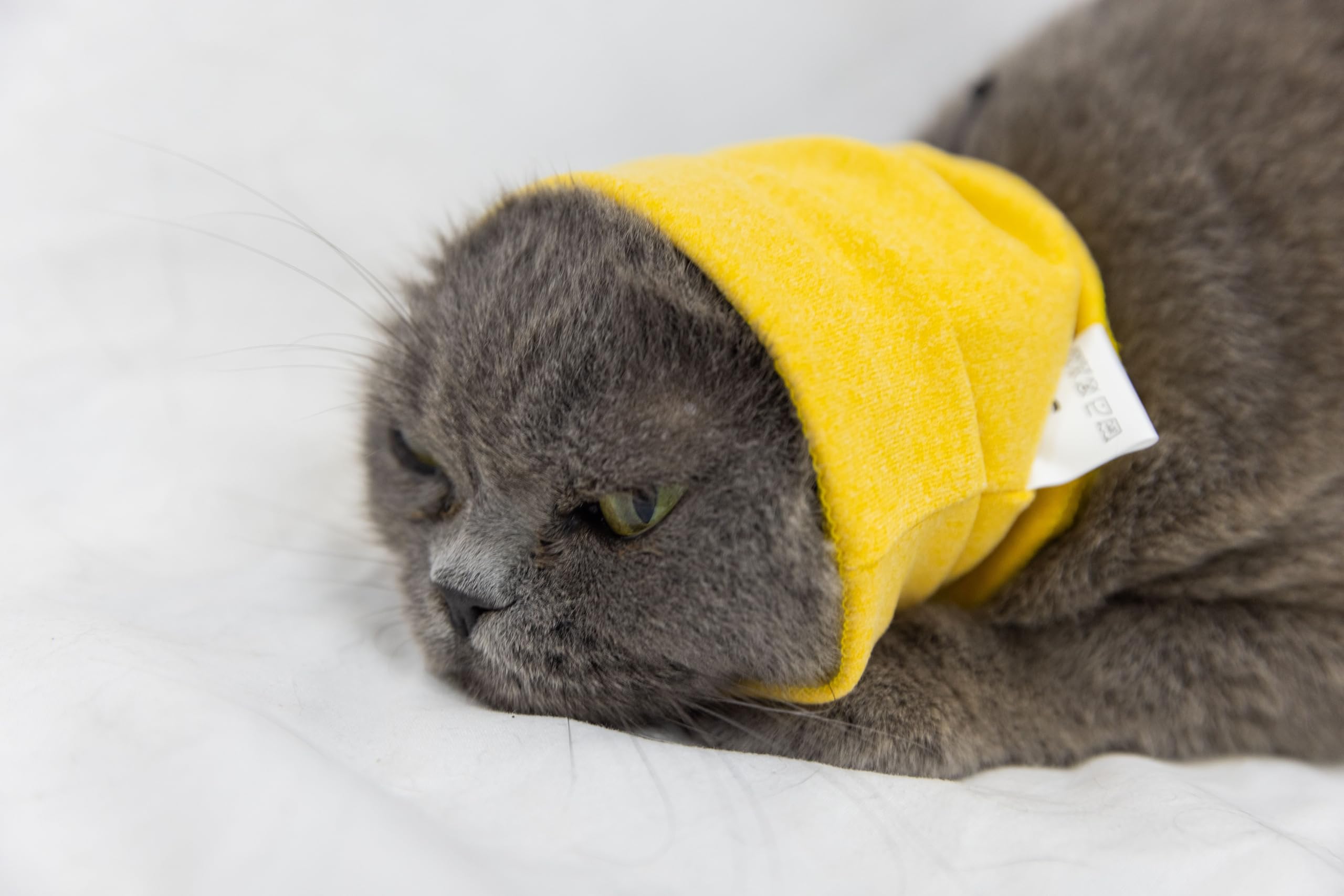 DDFS Soothing Cat Head Wrap Comfort Anti Anxiety Relief Quiet Ears Cat Snood for Grooming Yellow S