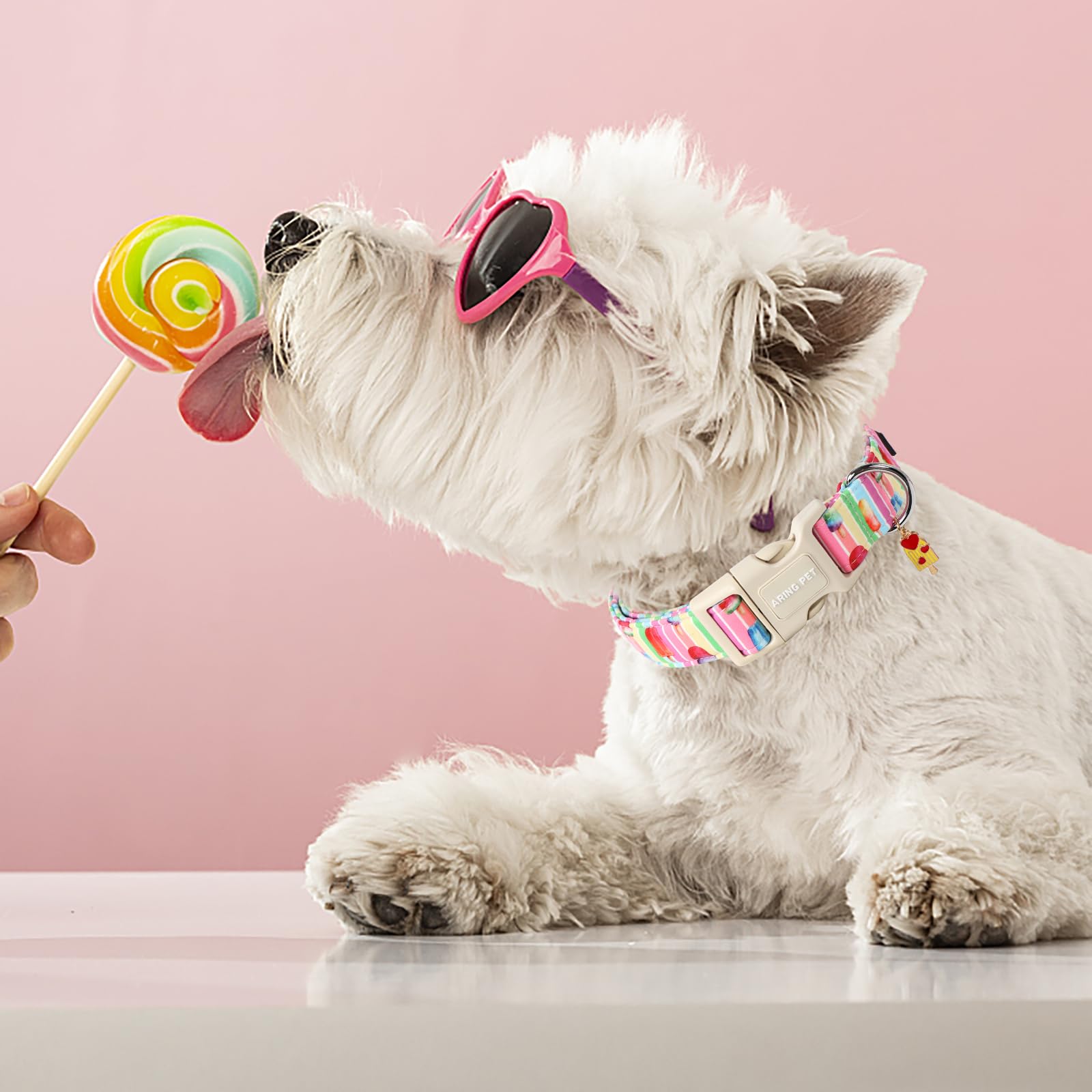 Aring Pet Summer Dog Collar-Cute Popsicle Dog Collar For Small Dogs, Adjustable Multicolor Ice Cream Pet Collars Puppy Collar Fo