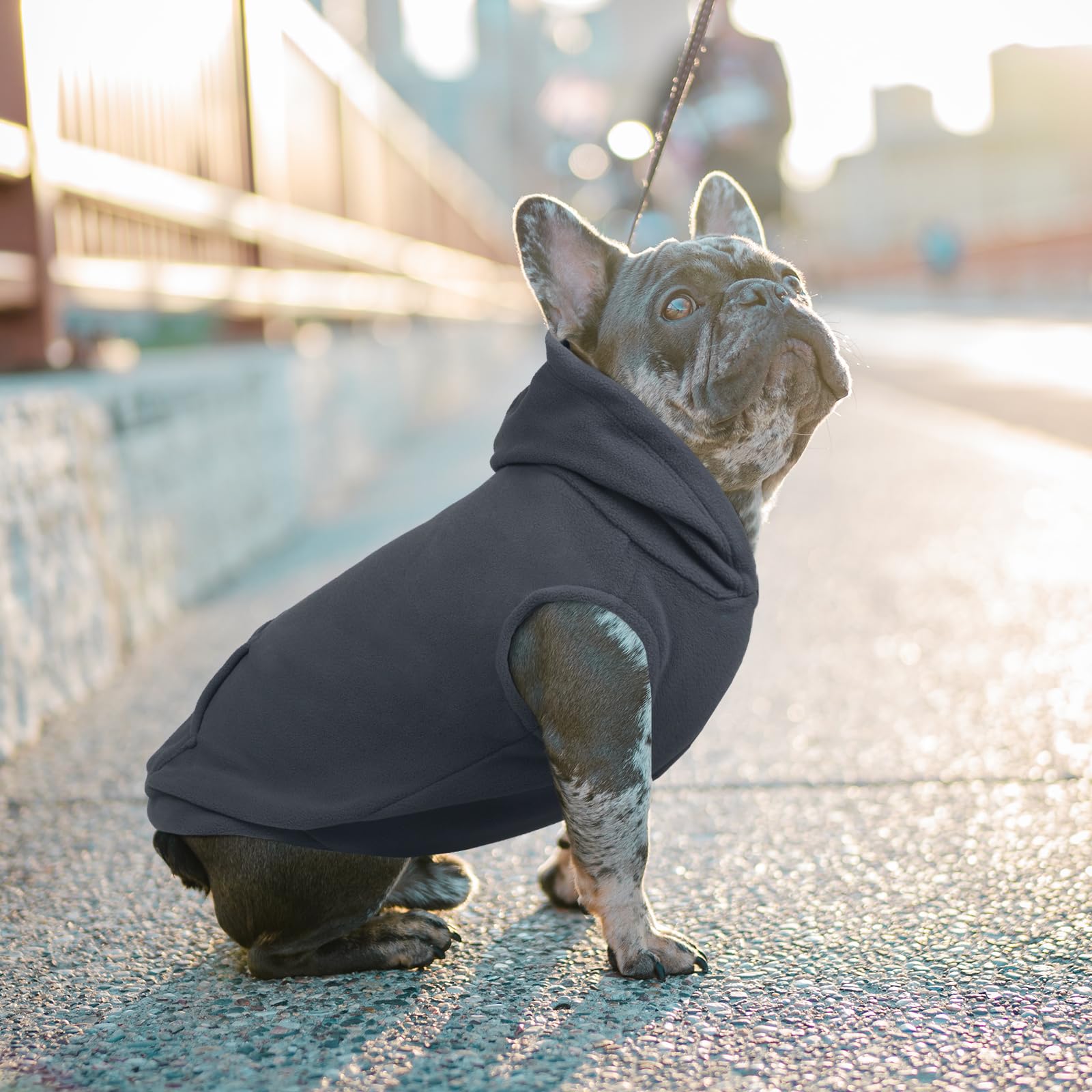 Ieco Ii Dog Hoodie - Polar Fleece Sweatshirt With Hood. Medium Size, Grey. Perfect For Dogs - Pug, Jack Russell. Unisex - Boy &