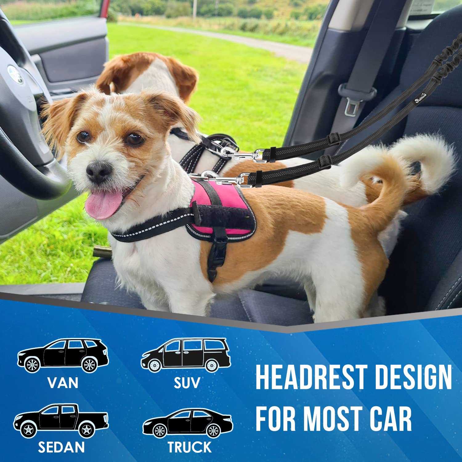 Lukovee Double Dog Seat Belt, New Dual Pet Car Headrest Restraint Safety Seatbelt No Tangle Dog Leash Duty Adjust Elastic Bungee Puppy Lead Splitter Connect Harness In Vehicle Travel,Black,2 Pcs