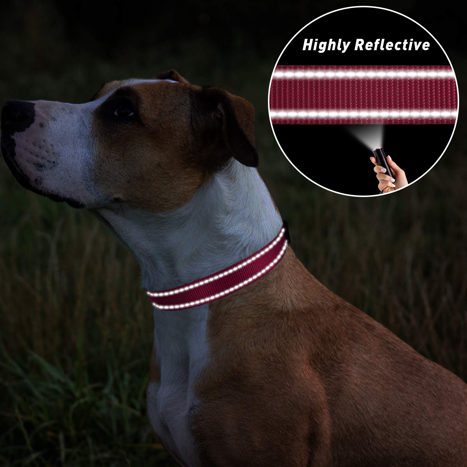 Tagme Reflective Nylon Dog Collars, Adjustable Classic Dog Collar With Quick Release Buckle For Puppy, Hot Pink, 3/8' Width