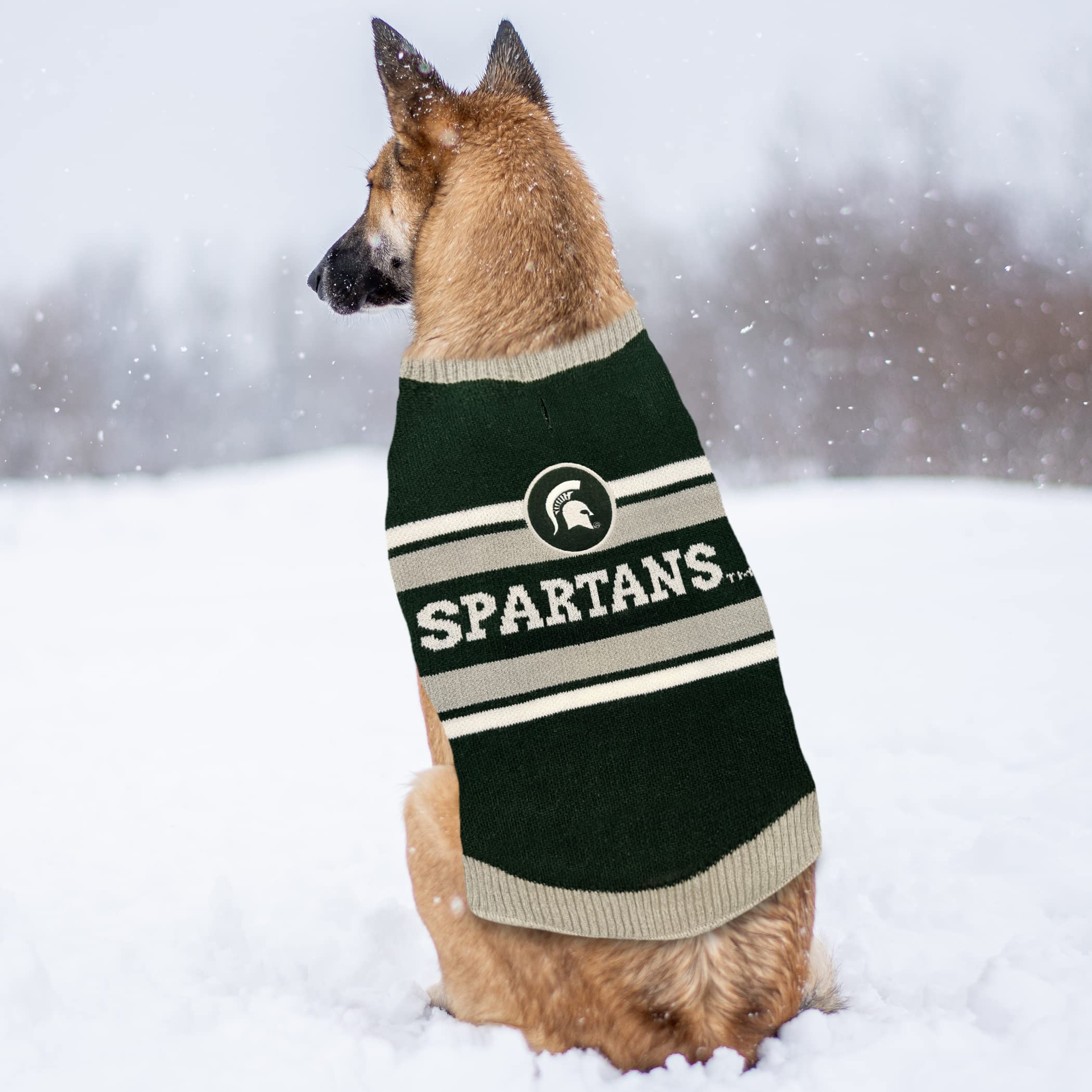 NCAA Michigan State Spartans Dog Sweater, Size Small. Warm and Cozy Knit Pet Sweater with NCAA Team Logo, Best Puppy Sweater for