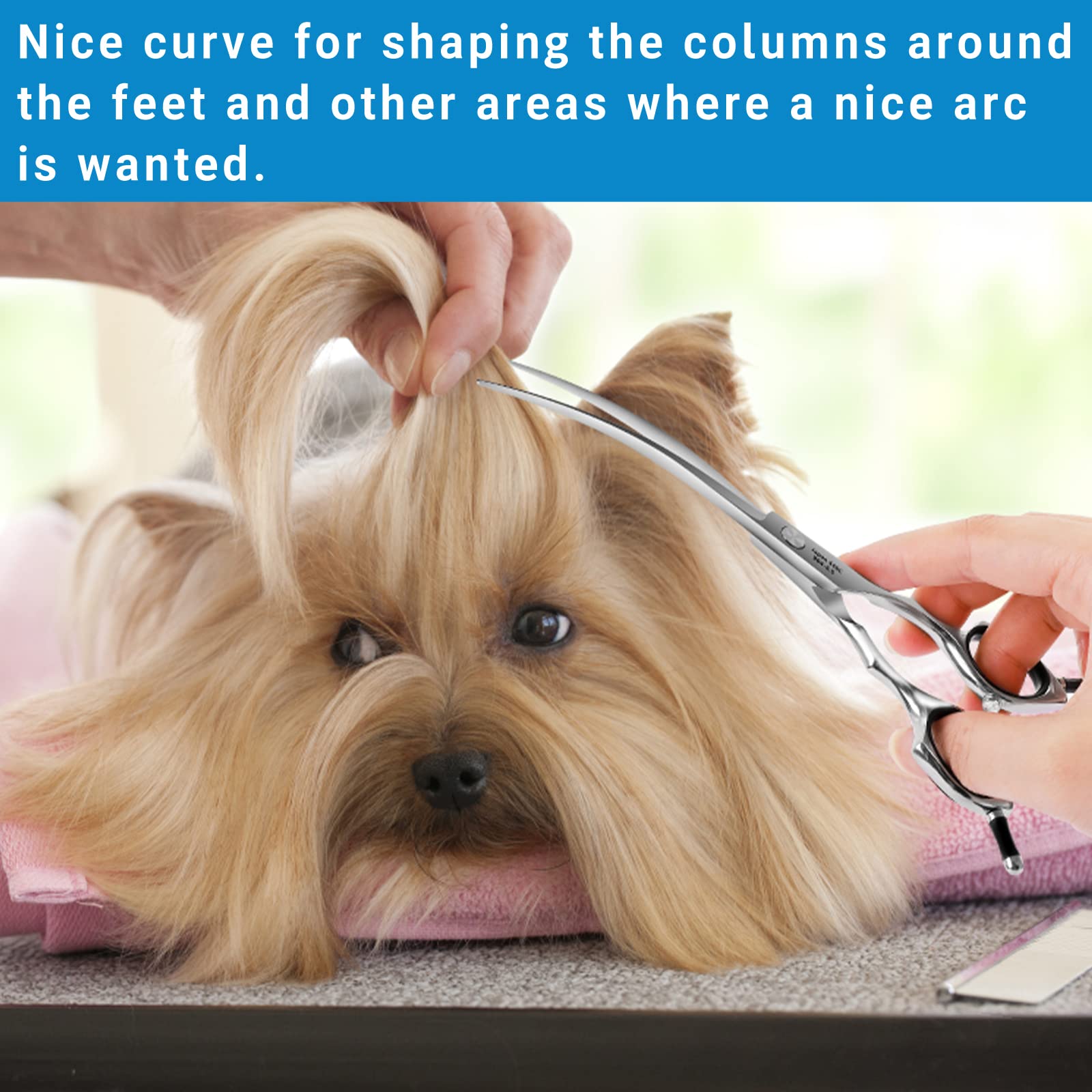 Hashimoto Dog Grooming Scissors, Curved Scissors For Dog Grooming, 6.5 Inch, 30 Degree Of Curved Blade,Light Weight, Pet Shears For Trimming Face And Paws.