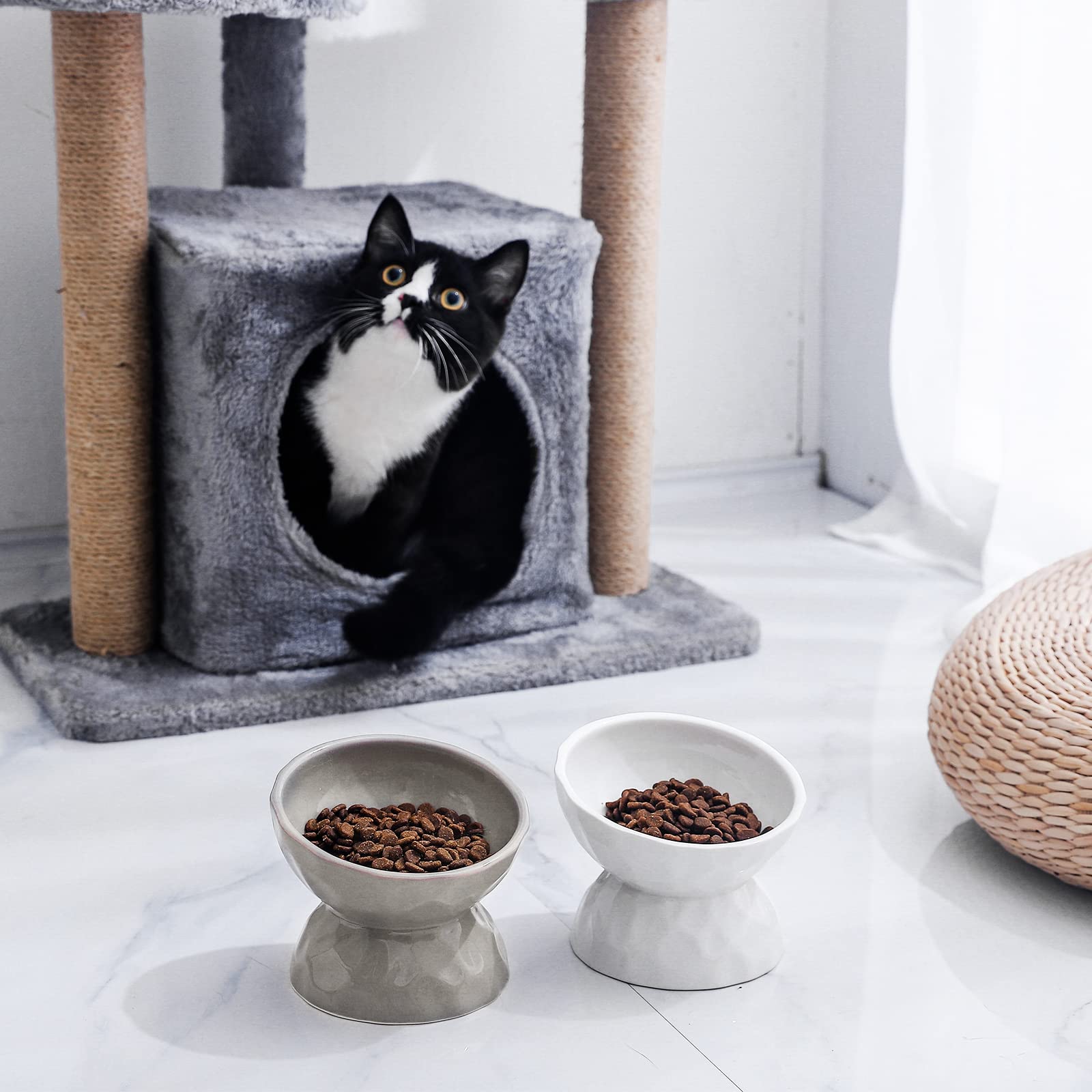 OMAYKEY Ceramic Raised Cat Bowls, Tilted Elevated Cat Food and Water Bowl Set, Porcelain Stress Free Pet Feeder Dish for Cats an