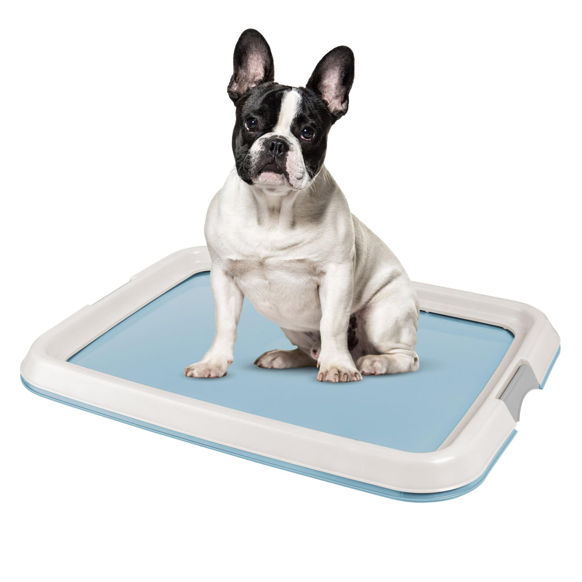 Iris Usa Pee Pad Holder, Medium Dog Pad Holder, Secured Latches, Non-Skid Rubber Feet, High Polish Finish For Easy Cleaning, Leak Protection Indoor Dog Potty Tray, Fits 17'X23' Pad Or Larger, Blue