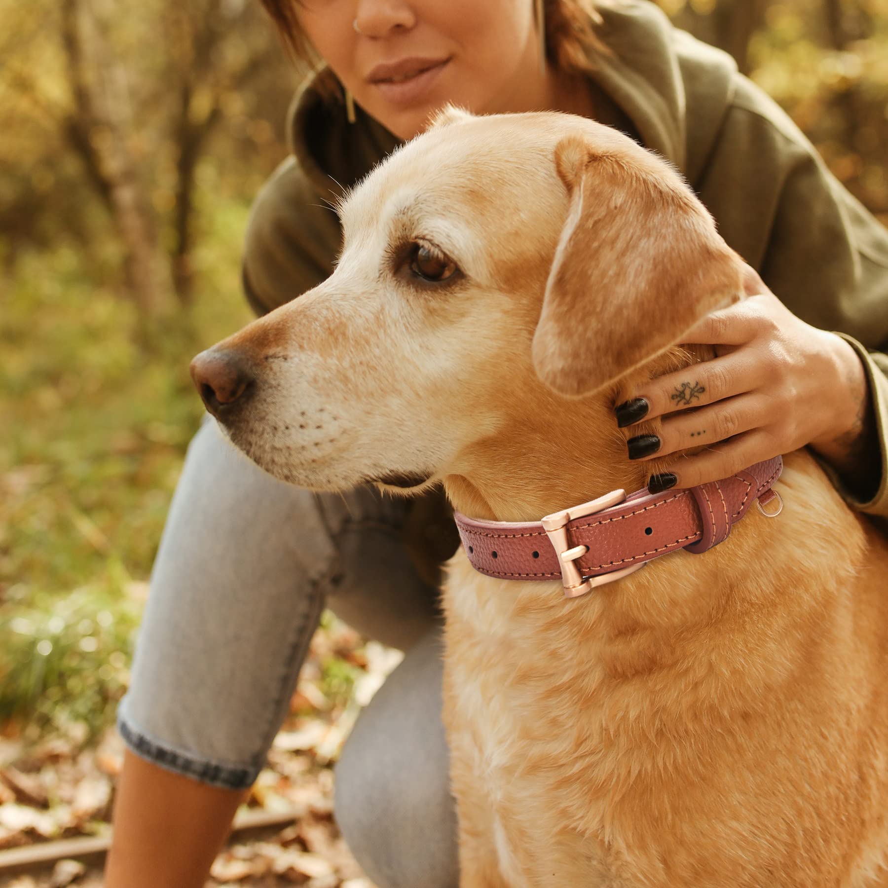 Blu&Ben Genuine Leather Dog Collars Classic Soft Padded Leather Collar Stylish Breathable Dog Collar For Small Medium Large Dogs