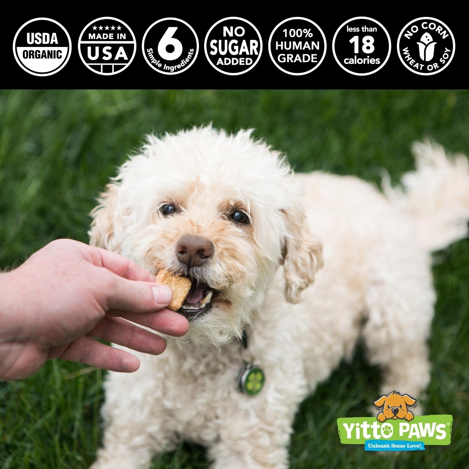 Crunchy Organic Peanut Butter Dog Treats, Strawberry & Oats Healthy Dog Treats, Vegan All Natural Dog Training Treats Made in US