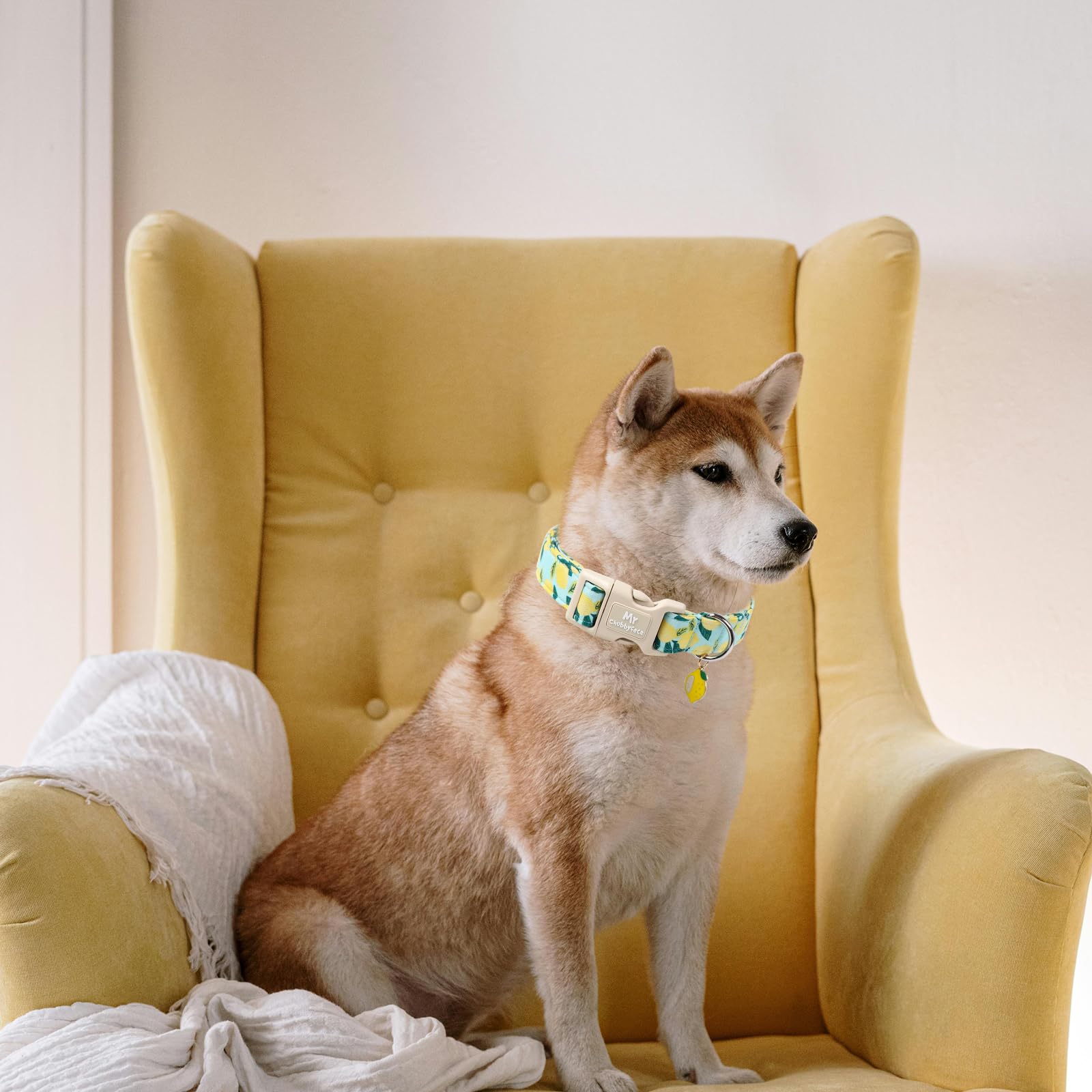 Mr.Chubbyface Summer Lemon Dog Collar, Light Adjustable Puppy Collar With Plastic Buckle, Cute Pet Collar For Small Medium Large