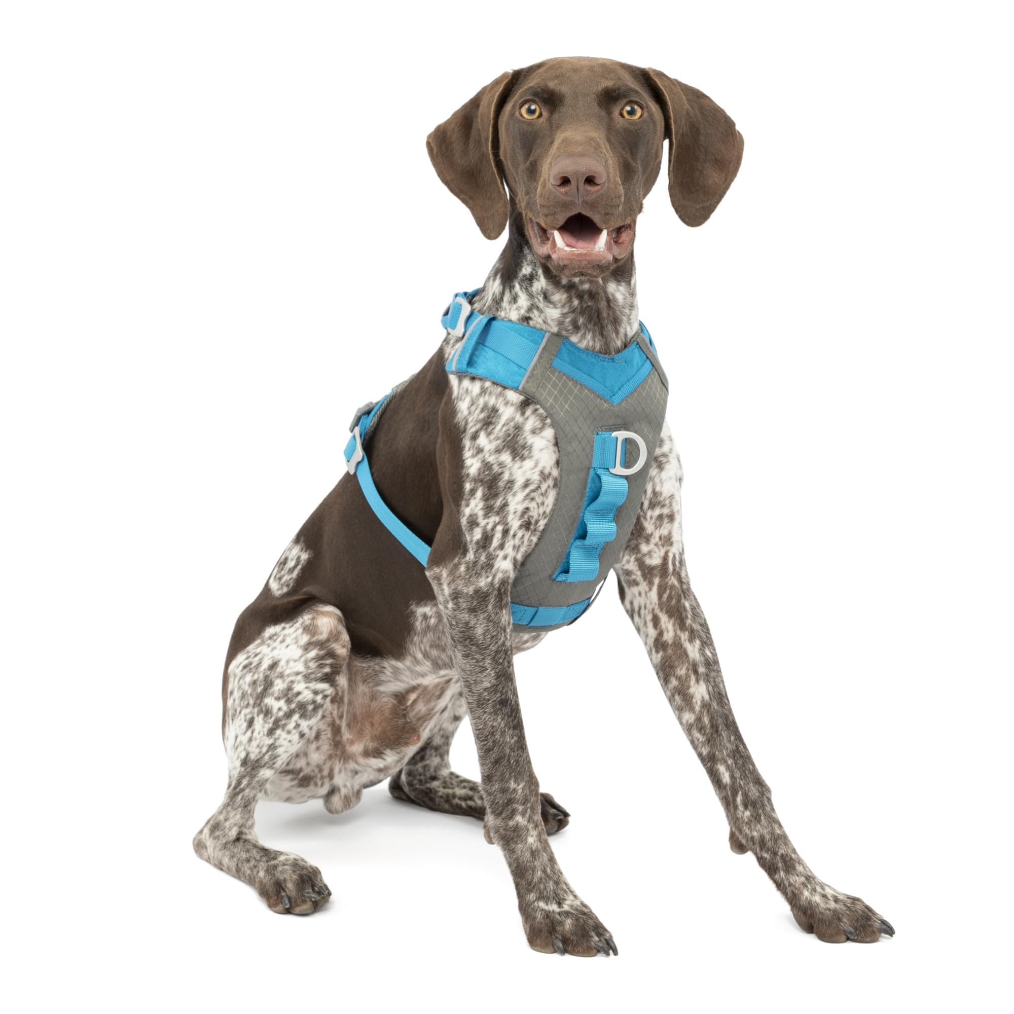 Kurgo Journey Air Dog Harness, Vest Harnesses For Dogs, Pet Hiking Harness For Running & Walking, Reflective, Padded, Includes Control Handle, No Pull Front Clip (Blue, Medium)