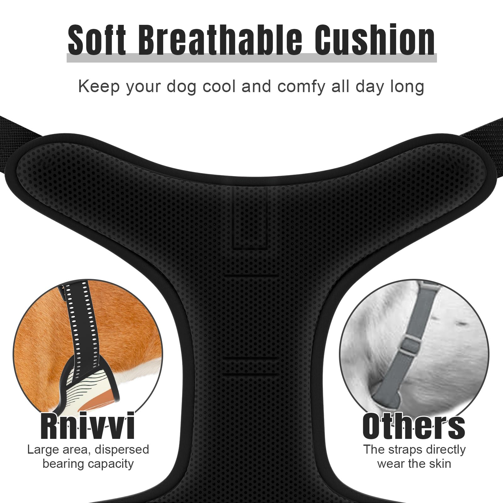 Rnivvi No Pull Dog Harness, Cute Boho Reflective Small Sized Puppy Kitten Harness, Adjustable Soft Padded Vest for Small Dogs, C