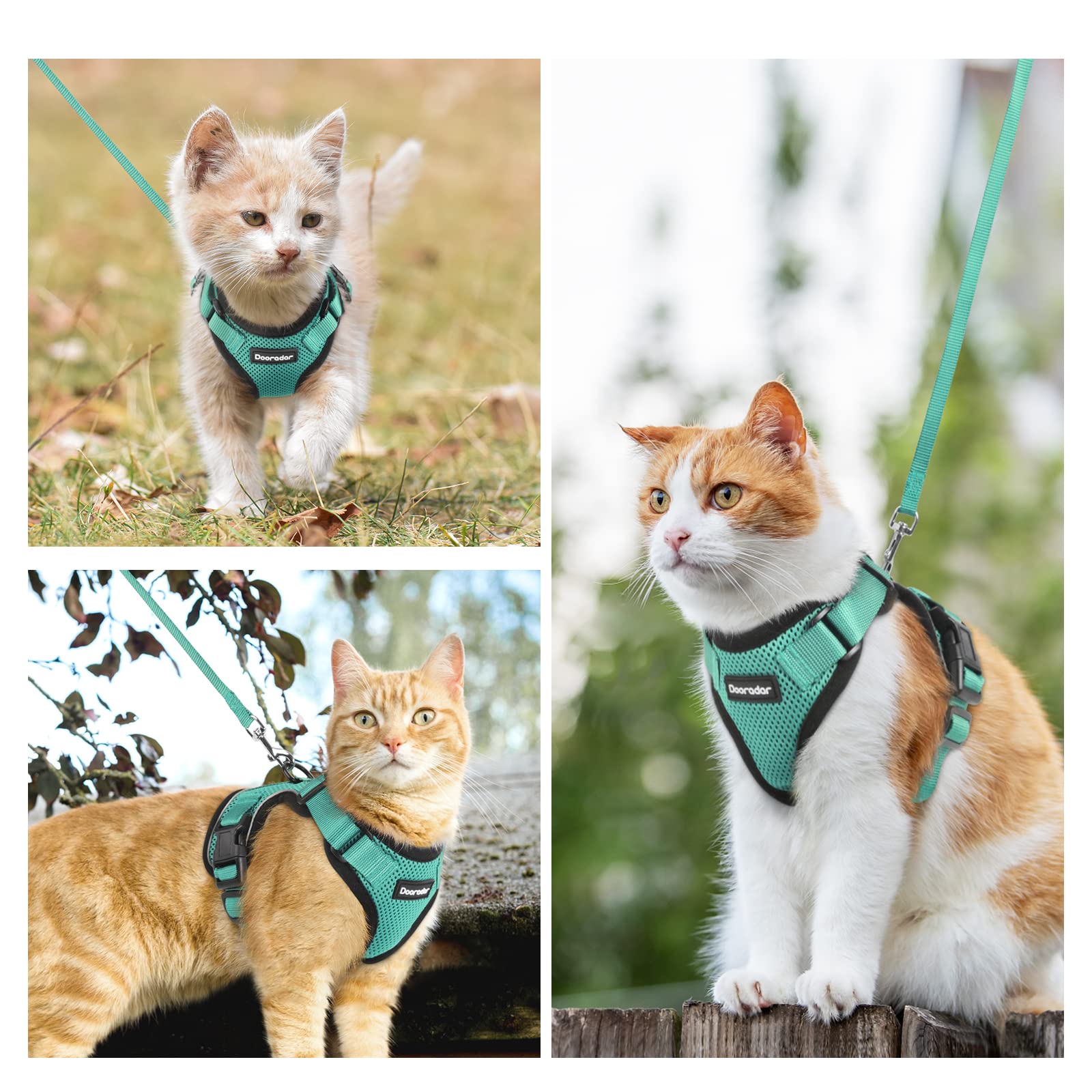 Dooradar Cat Harness And Leash Set, Escape Proof Safe Adjustable Kitten Vest Harnesses For Walking, Easy Control Soft Breathable Mesh Jacket With Reflective Strips For Cats, Green, Xs