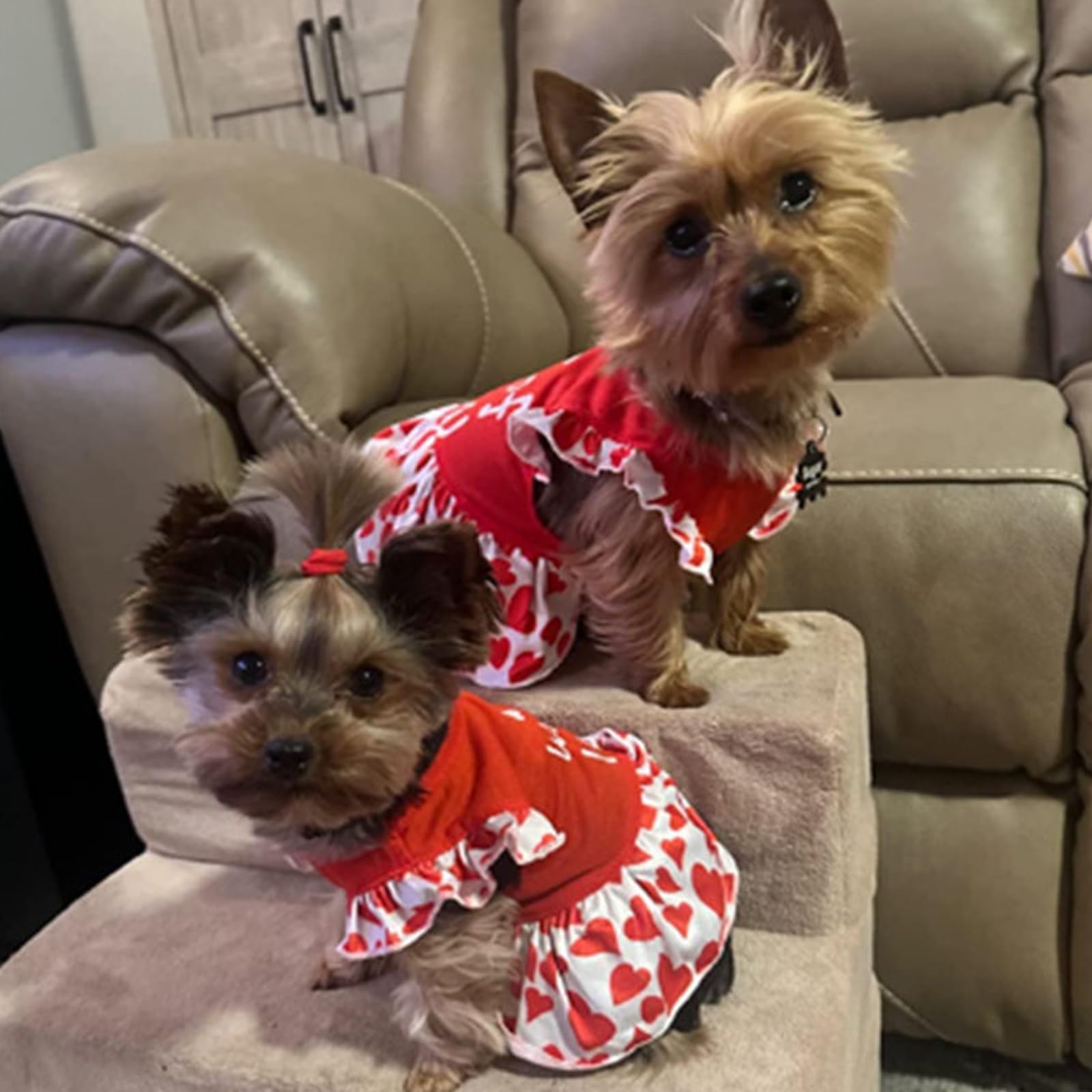 XPUDAC 4 Pieces Dog Dress Girl Dog Clothes for Dogs Girl Flower Dresses for Small Dogs Apparel Colorful Small Doggie Clothes Fem