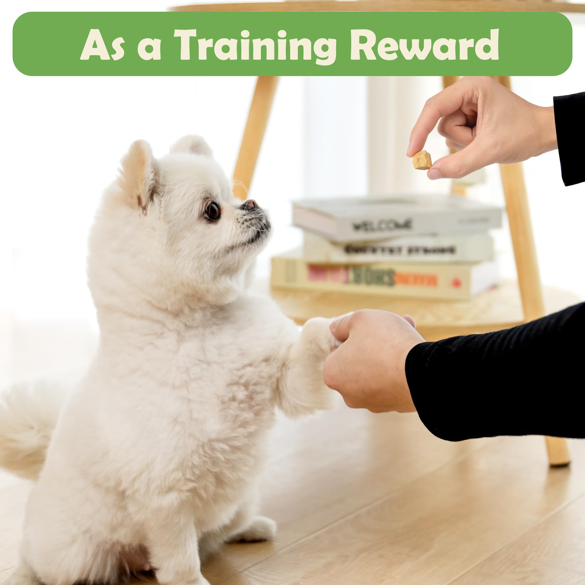 MON2SUN Freeze Dried Salmon Cat and Dog Treats, Single Ingredient Natural and Healthy Dog Snacks, High Protein Training Treats &