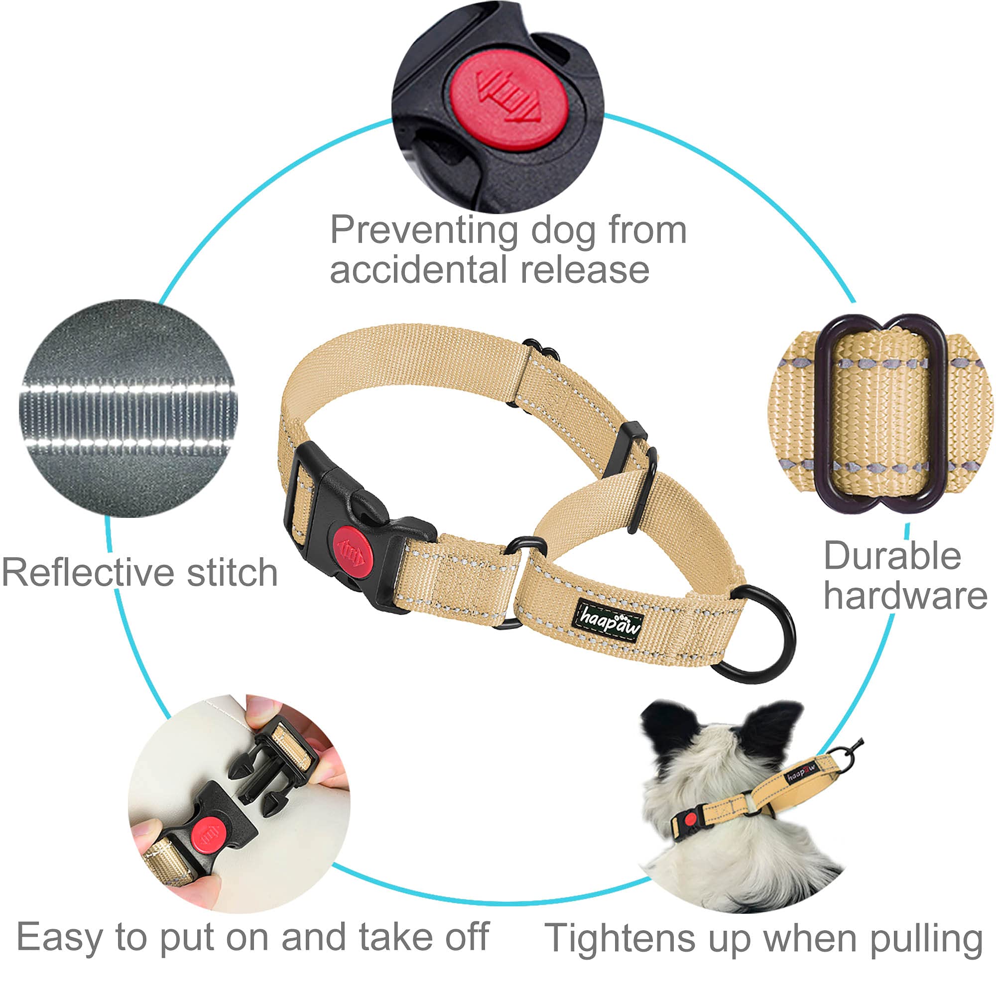 Haapaw 2 Packs Martingale Dog Collar With Quick Release Buckle Reflective Dog Training Collars For Small Medium Large Dogs (L Ne