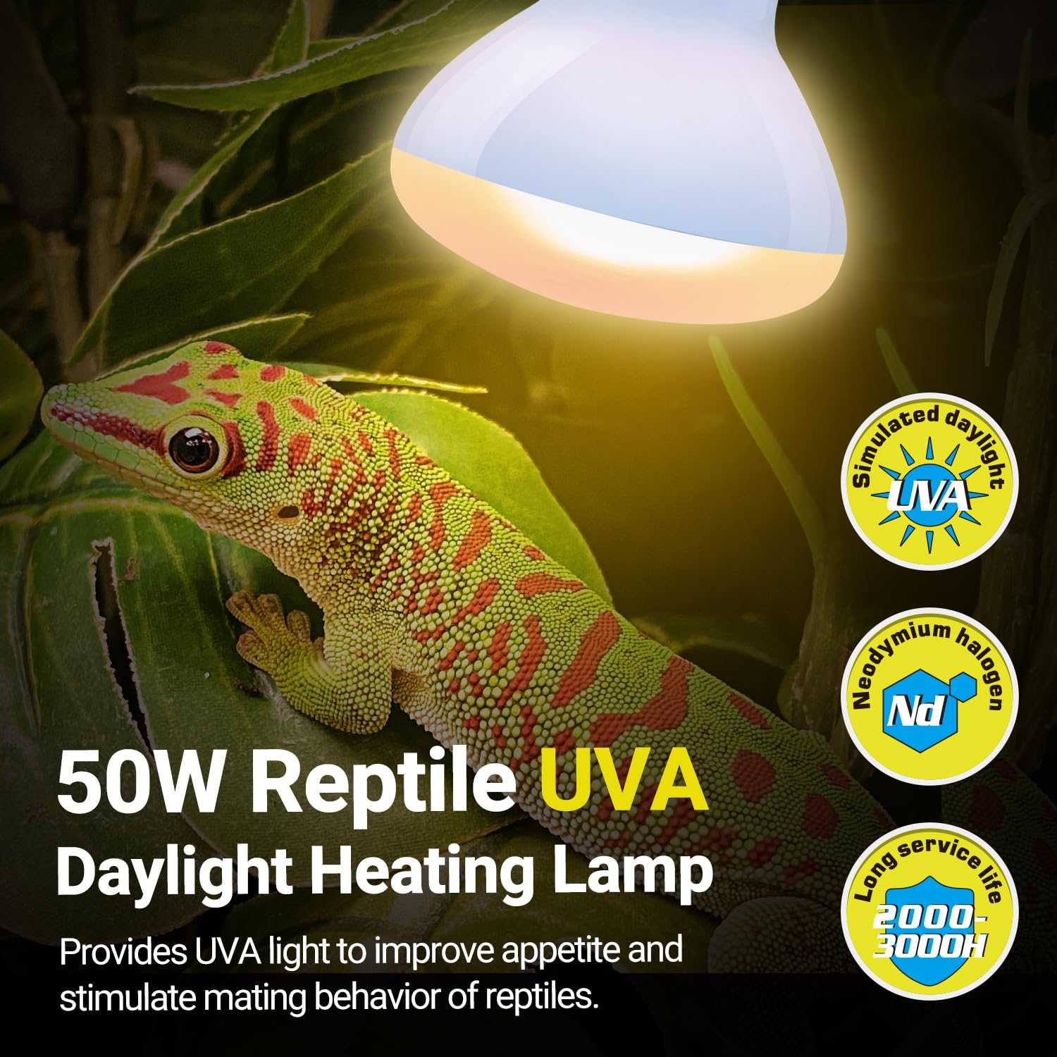 REPTIZOO Reptile Heat Lamp, 2 Pack 50W Daylight Basking Spot Lamp for Reptiles UVA Daylight Heating Lamp Bulb Basking Light for