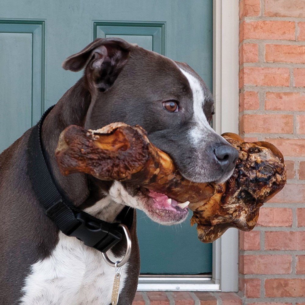 EcoKind Dog Bone Giant Femur Bone for Dogs | 1 Bone | Long Lasting Mammoth Dog Bones for Aggressive Chewers, Rawhide Free Health