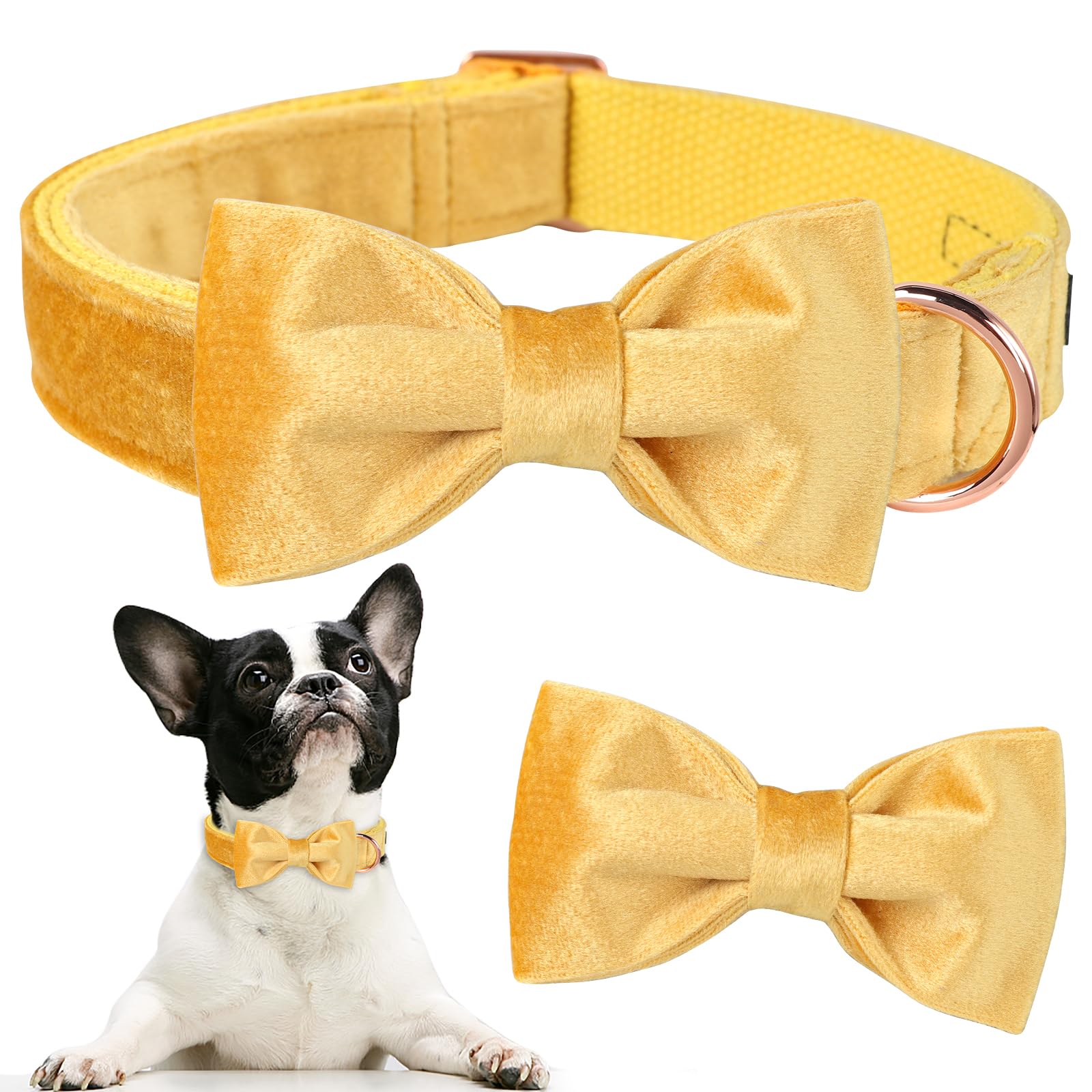 ARING PET Bowtie Dog Collar-Velvet Dog Collars with Detachable Bowtie, Adorable&Soft Yellow Dog Collar.