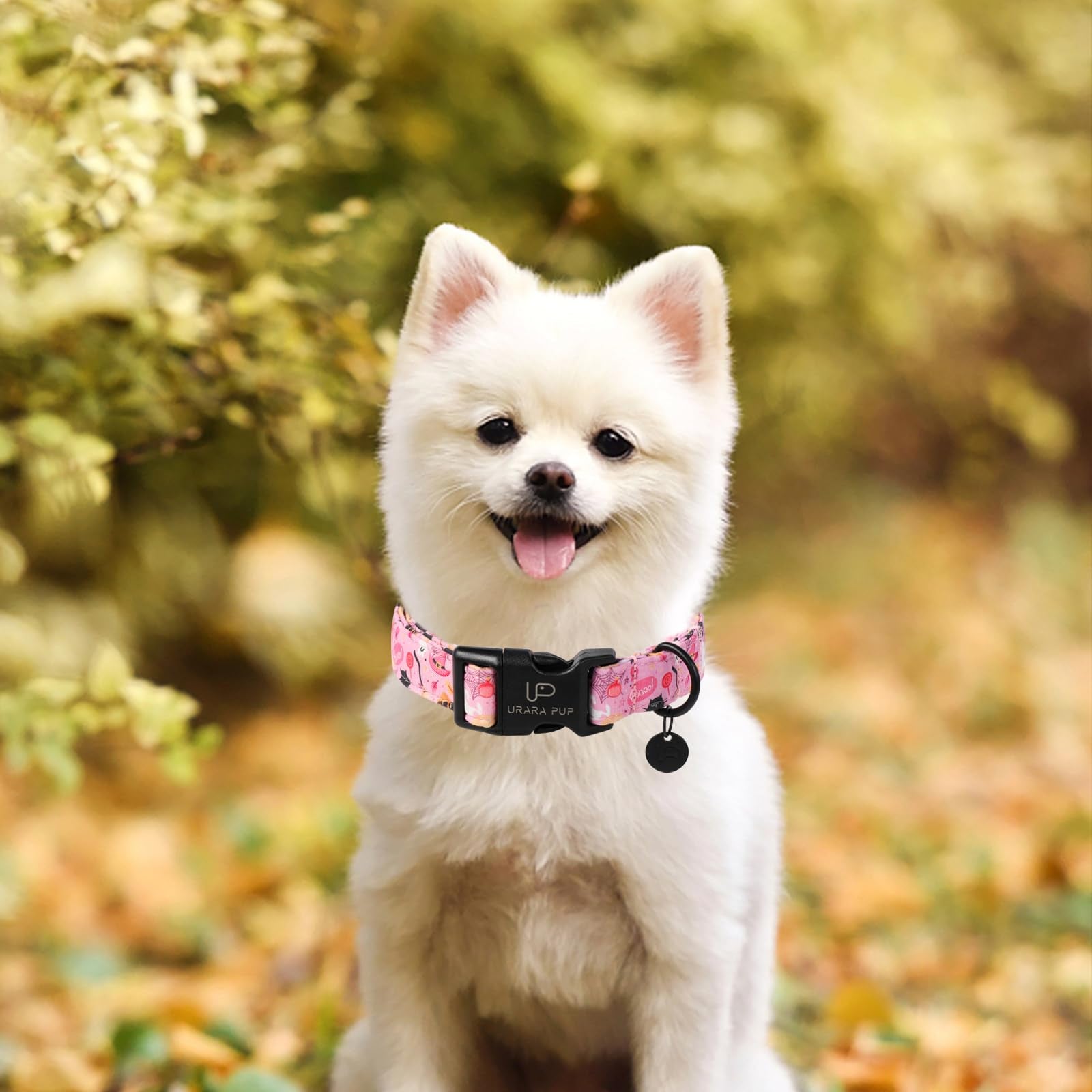 Up Urara Pup Halloween Dog Collar, Autumn Cotton Collar For Boys Or Girls Dogs, Cute Pink Comfortable Pet Collar With Lightweigh