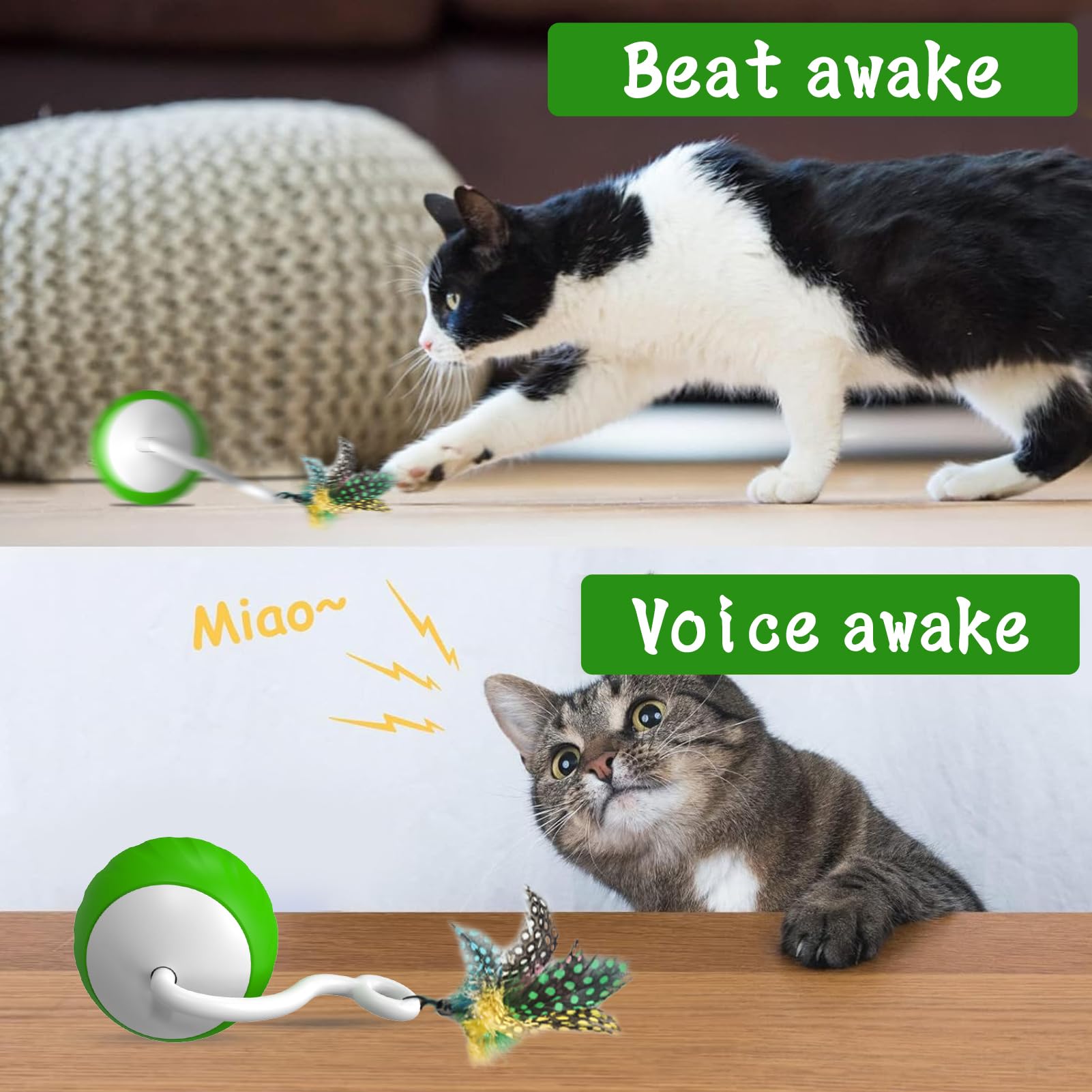 Wakhjakt Interactive Cat Toys For Indoor Cats, Diy 5 In 1 Automatic Moving Cat Ball Toys/Puppies Toys With Led Rainbow Lights, S